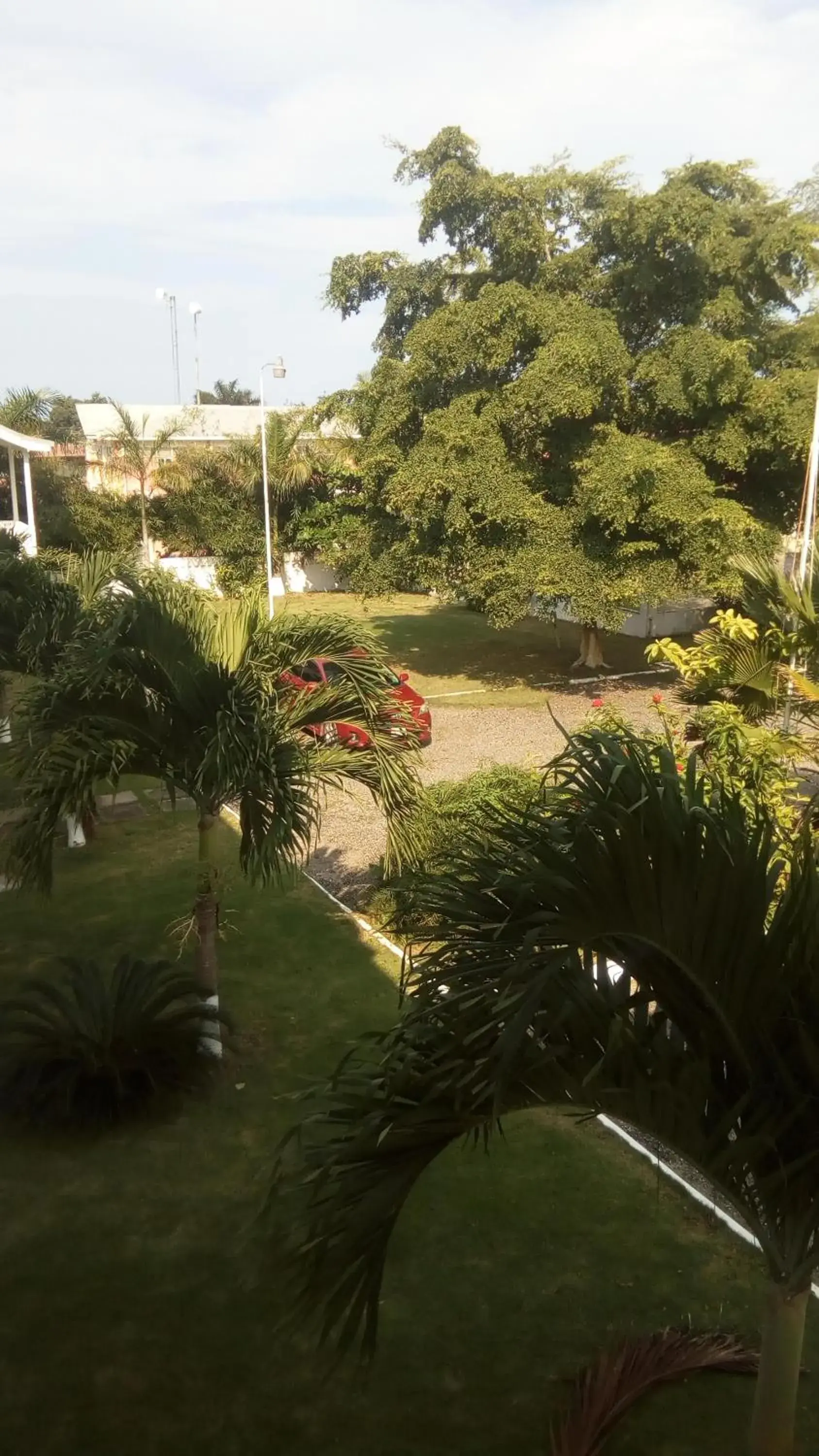 Garden view in Sea Shell Palms, Ocho Rios Garden view in Sea Shell Palms, Ocho Rios