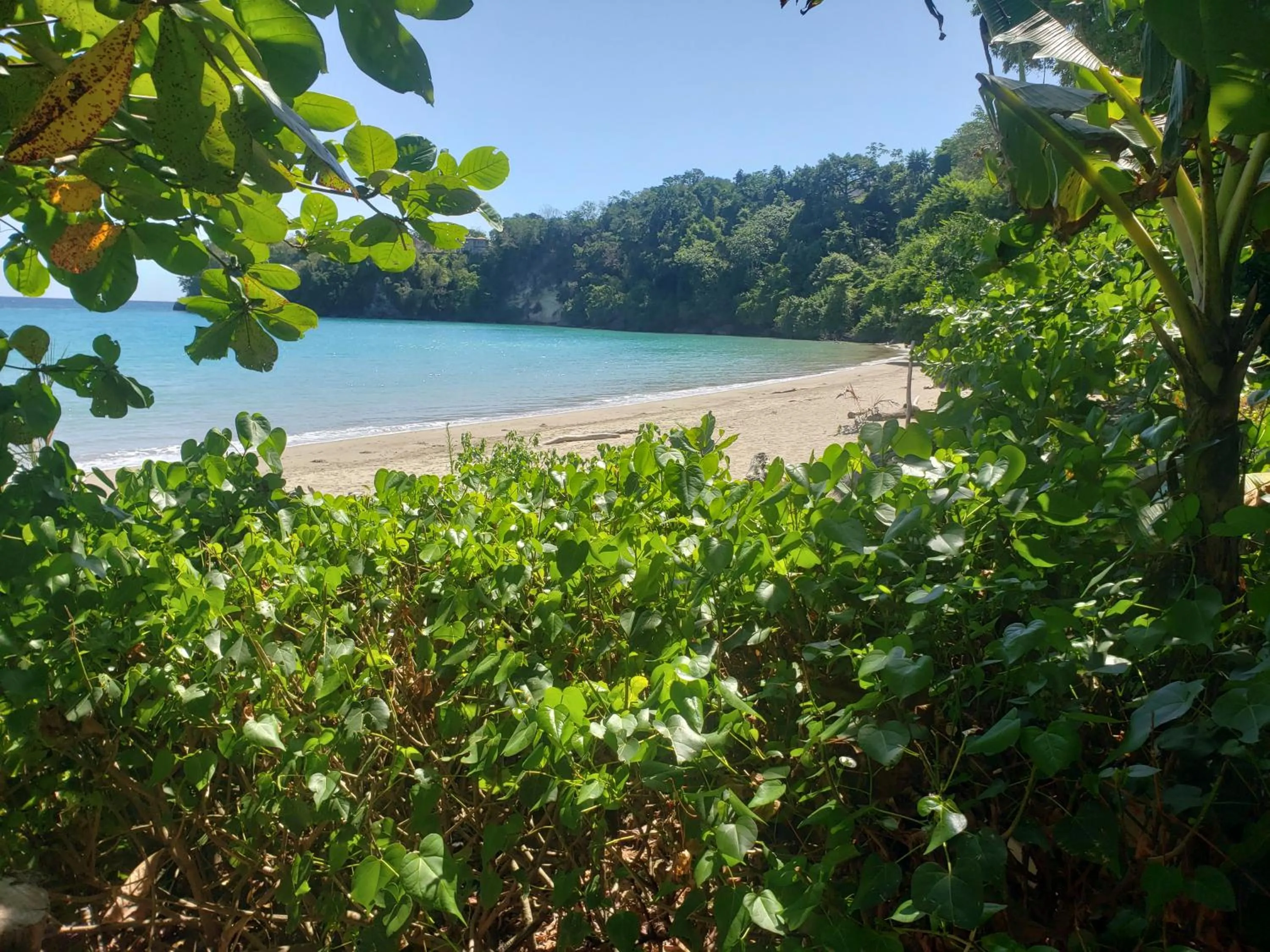 Beach in Sea Shell Palms, Ocho Rios