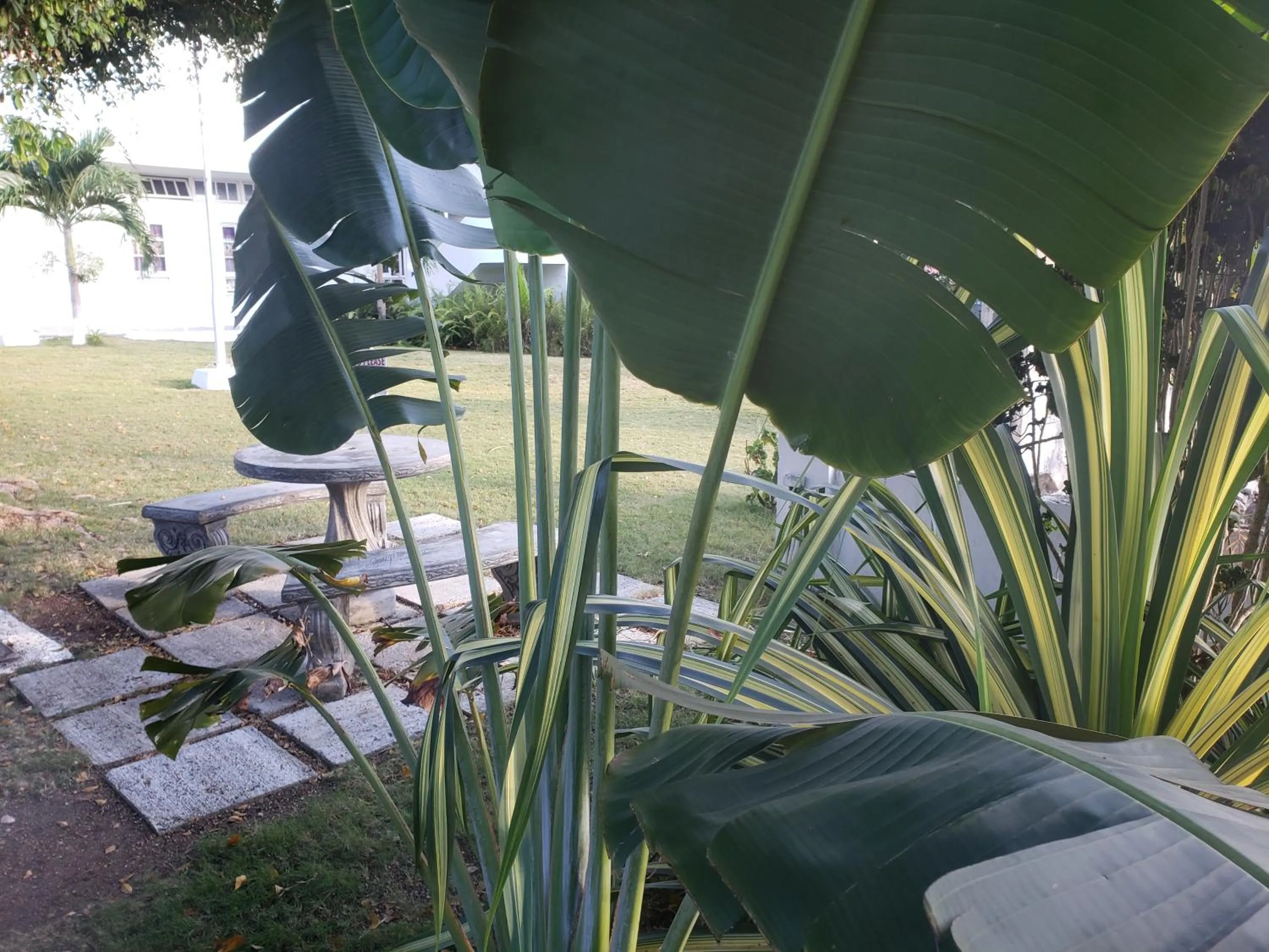 Seating area in Sea Shell Palms, Ocho Rios