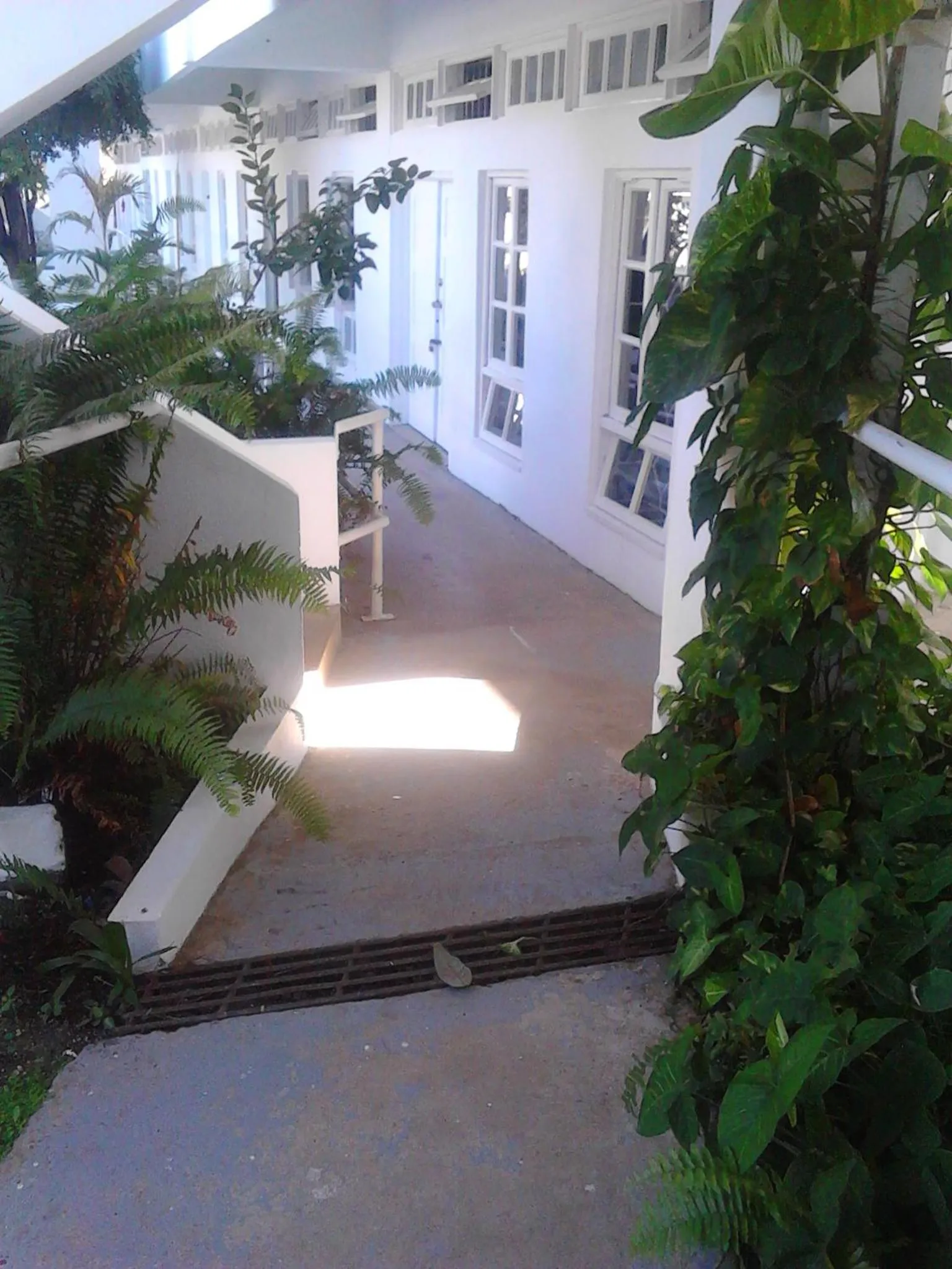 Sea Shell Palms, Ocho Rios