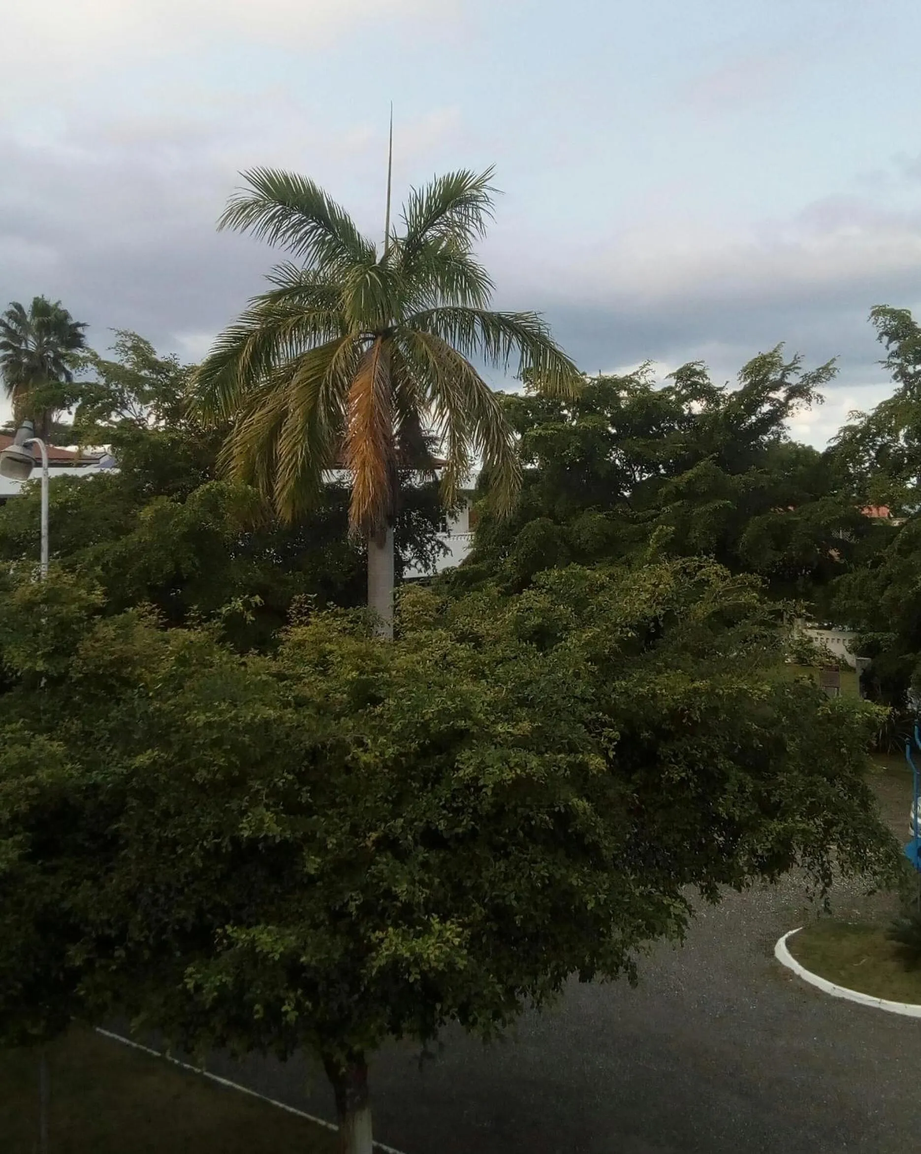 Sea Shell Palms, Ocho Rios