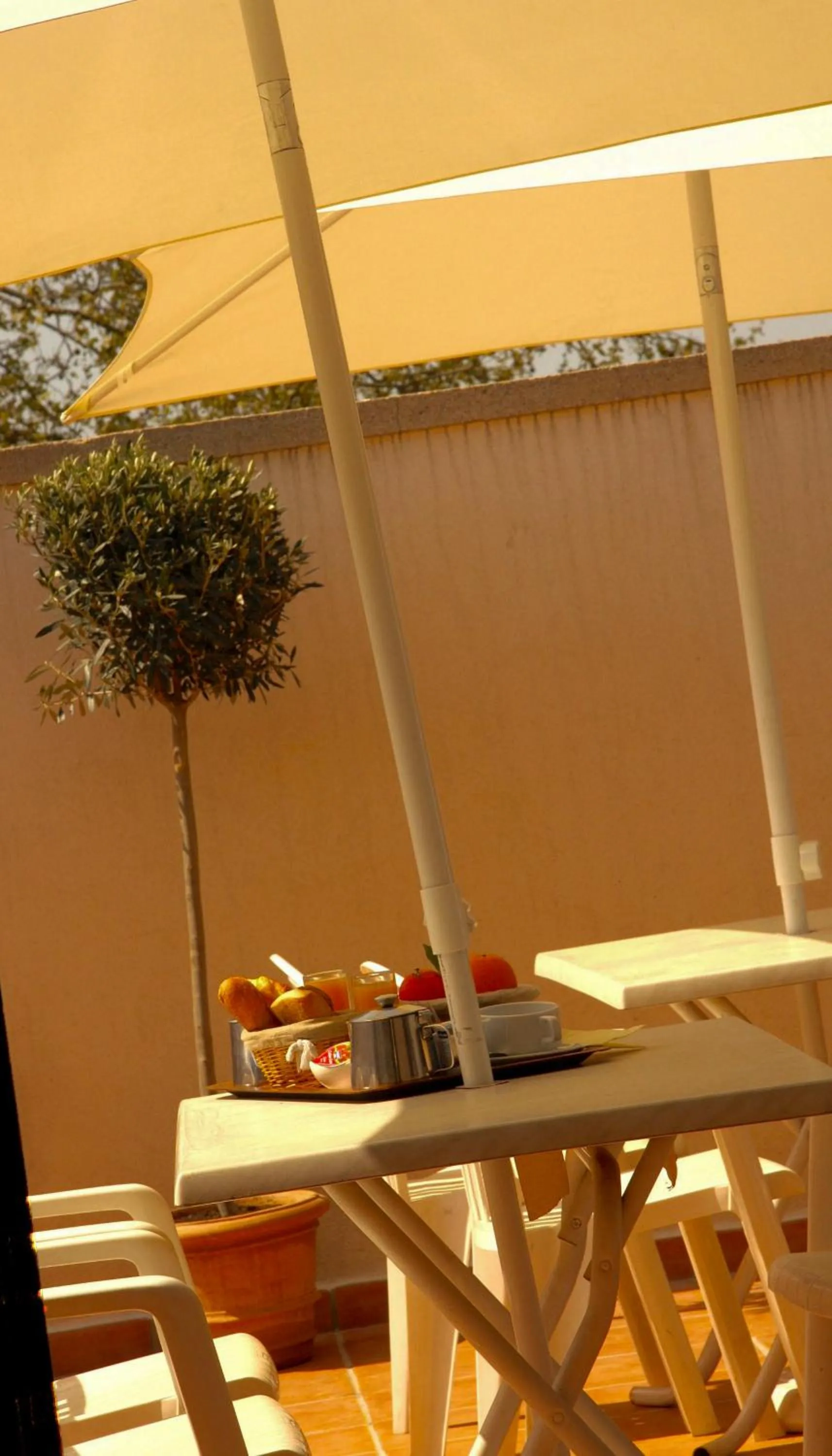 Garden view in Le Concorde