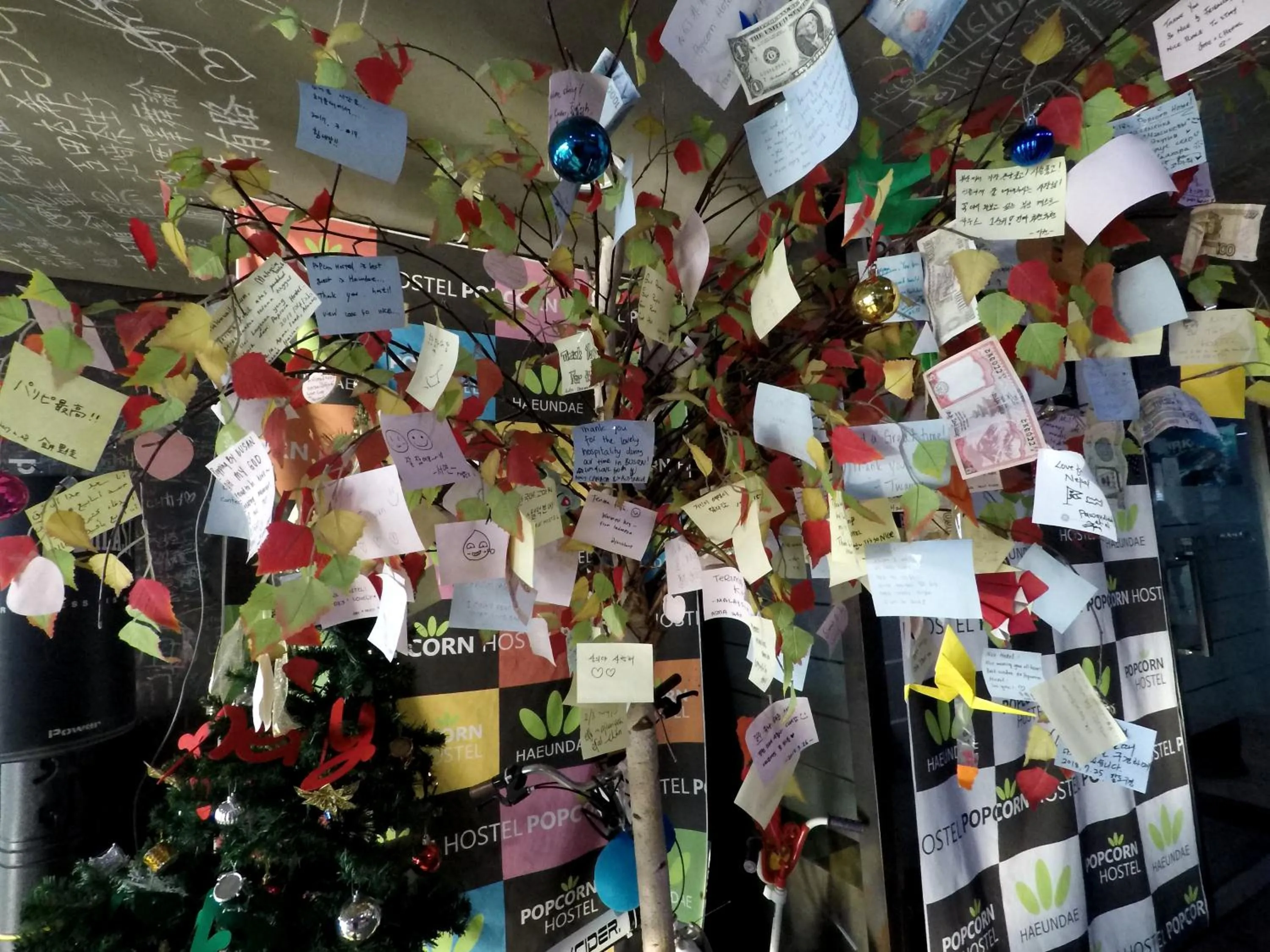 Location in Busan Popcorn Hostel