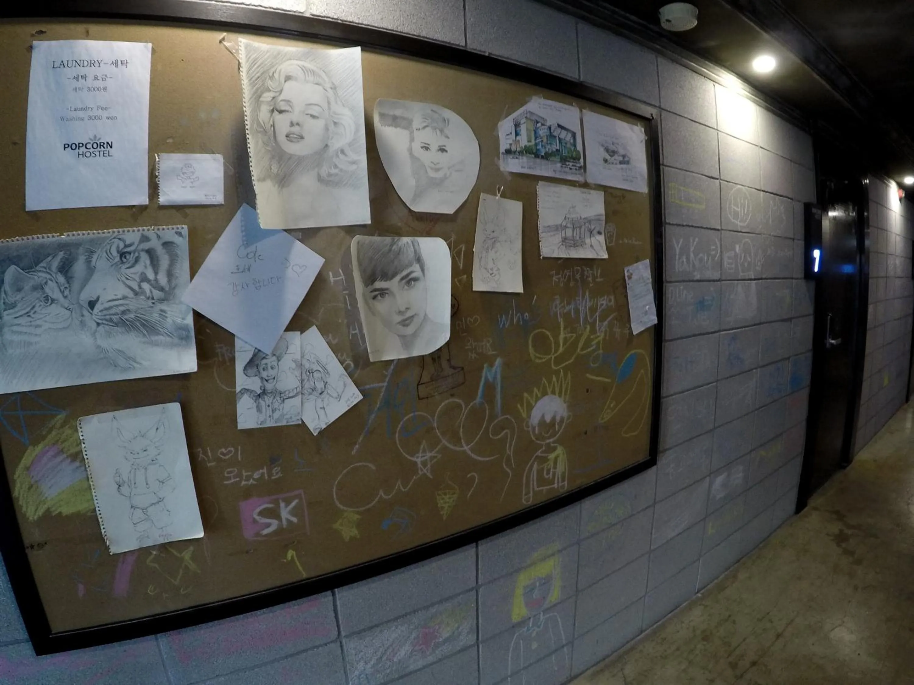 Lobby or reception in Busan Popcorn Hostel