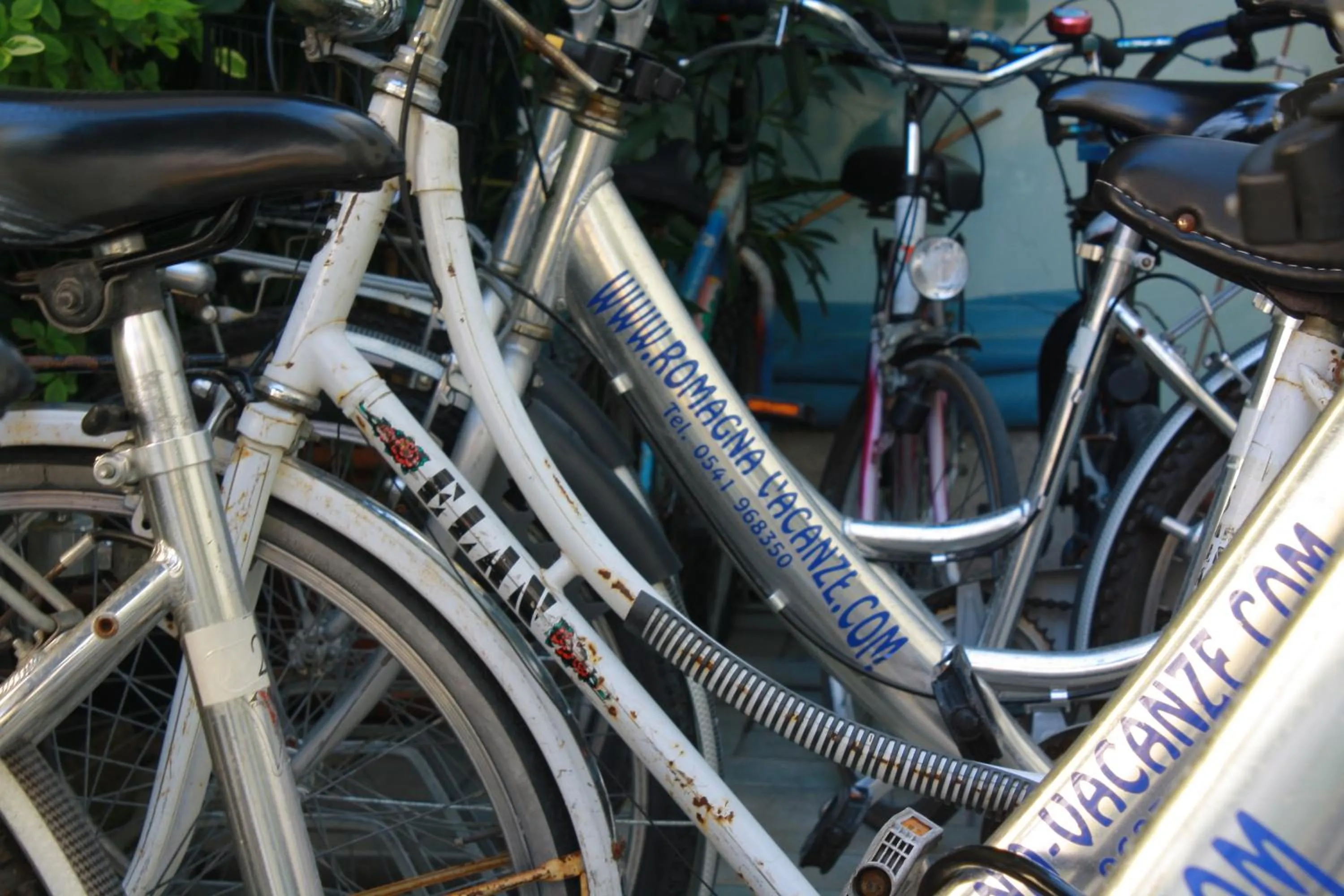 Cycling in Residence Le Vele