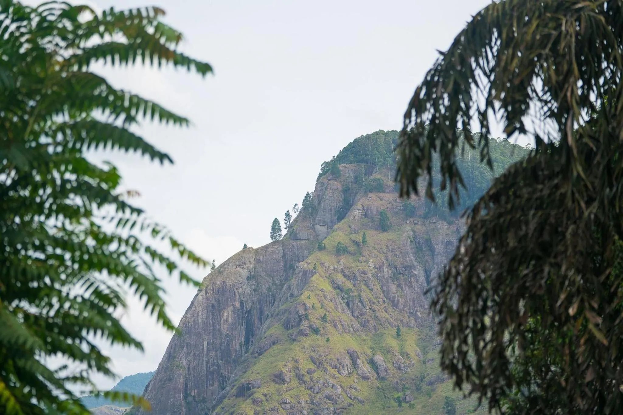 Mountain view in Ella Forest Paradise Hotel