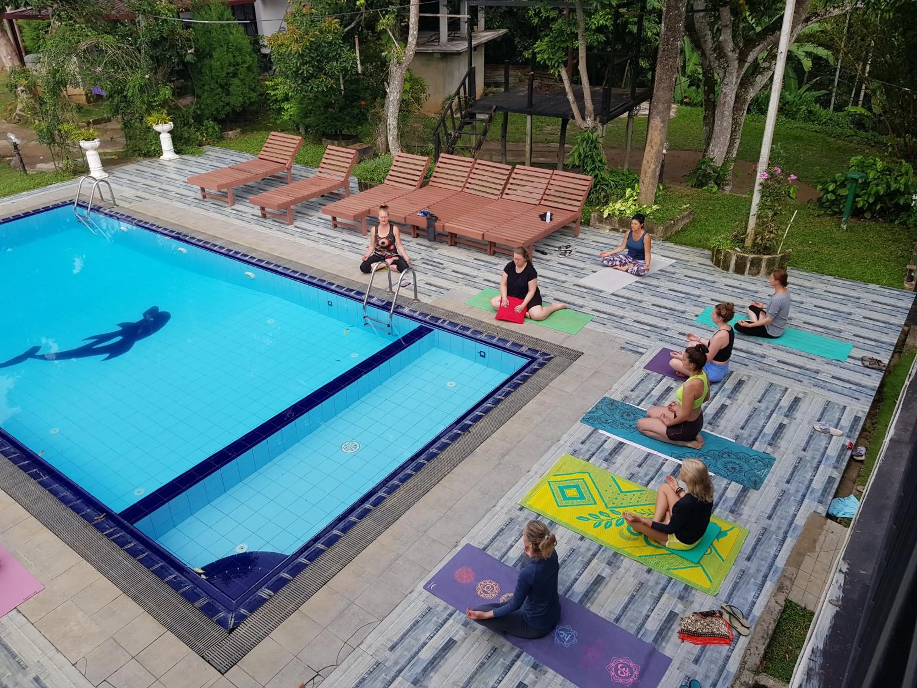 Garden in Ella Forest Paradise Hotel