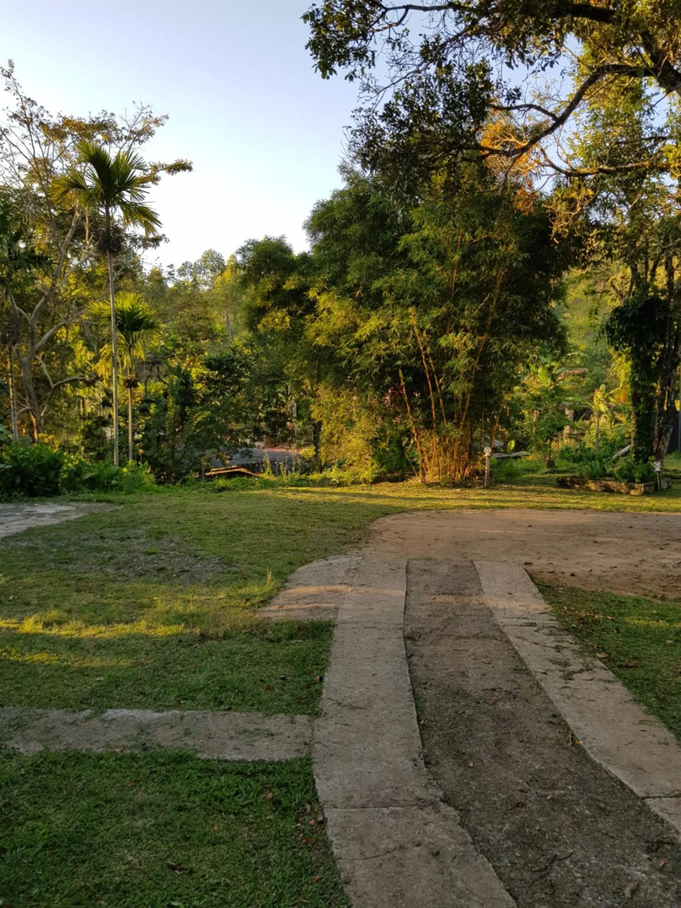 Garden in Ella Forest Paradise Hotel
