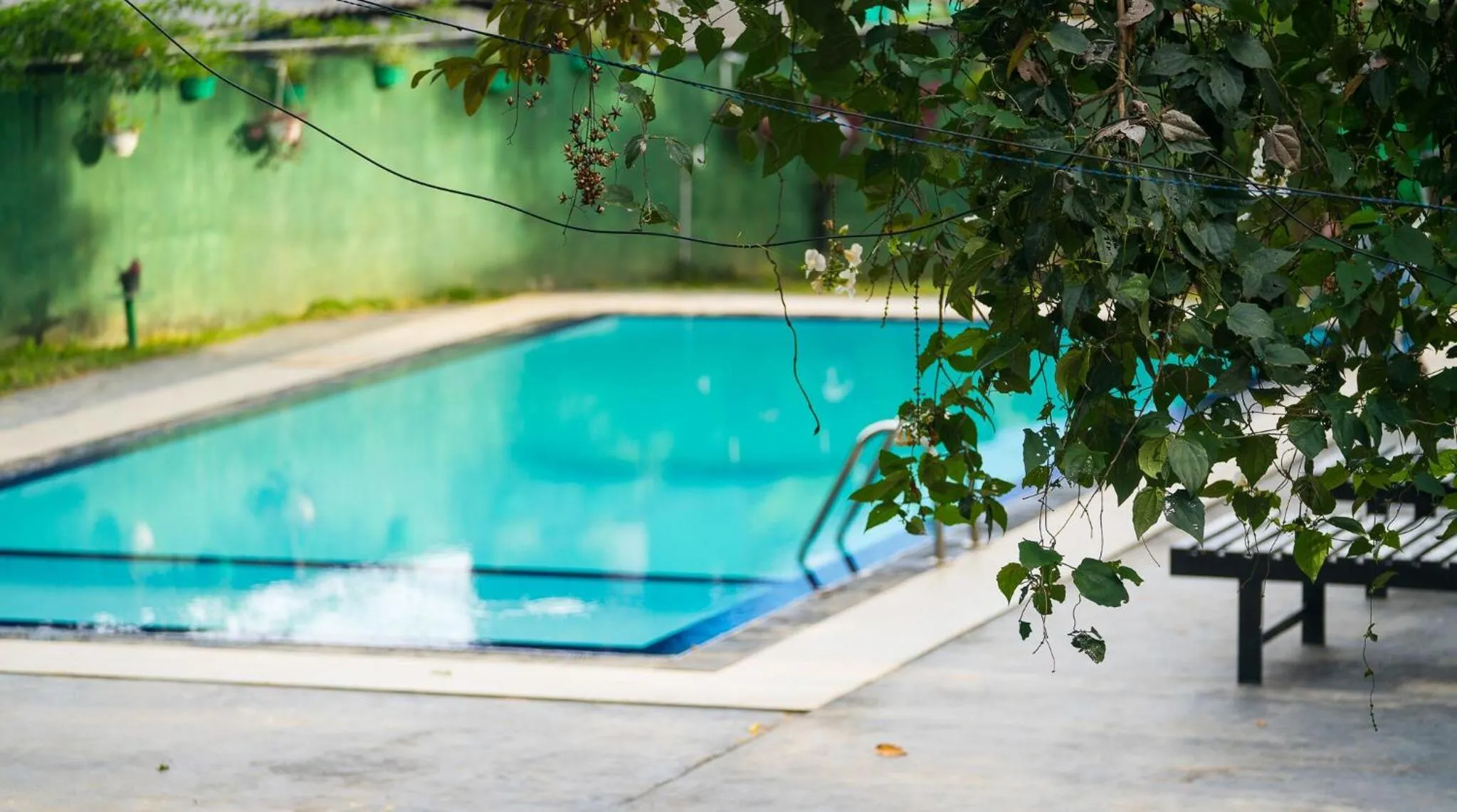Swimming pool in Ella Forest Paradise Hotel