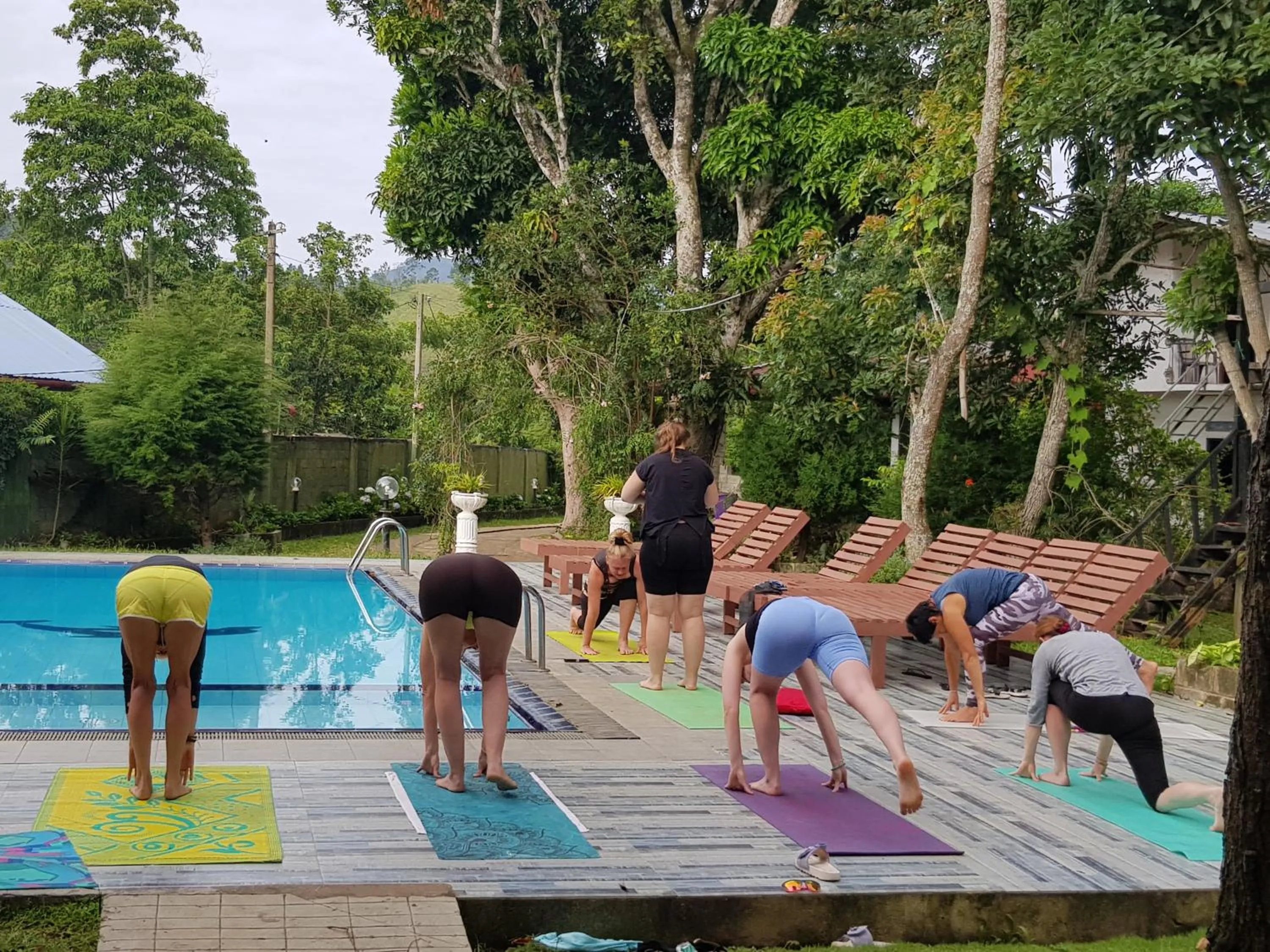 Swimming pool in Ella Forest Paradise Hotel