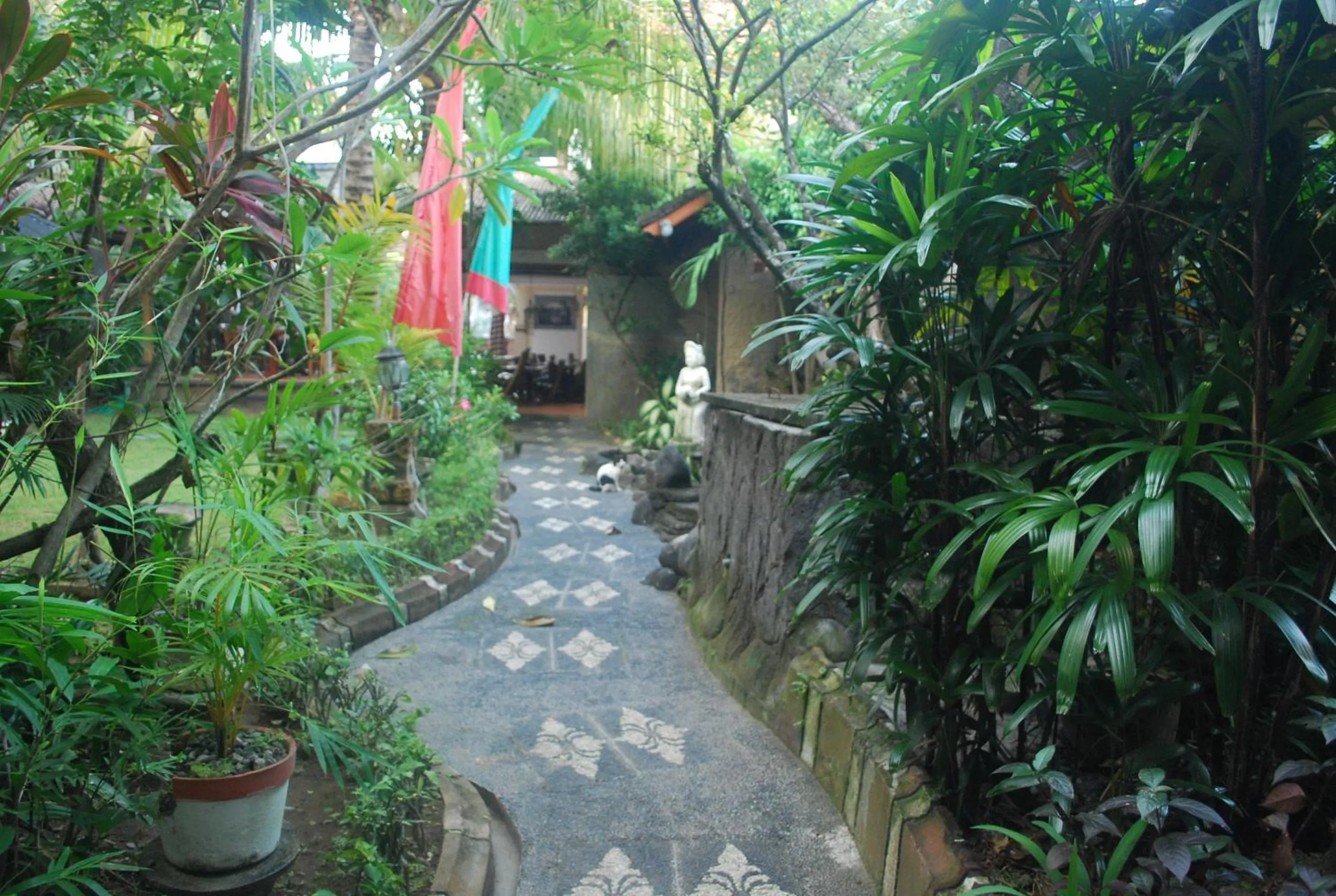 Area and facilities in Hotel Sorga Cottages