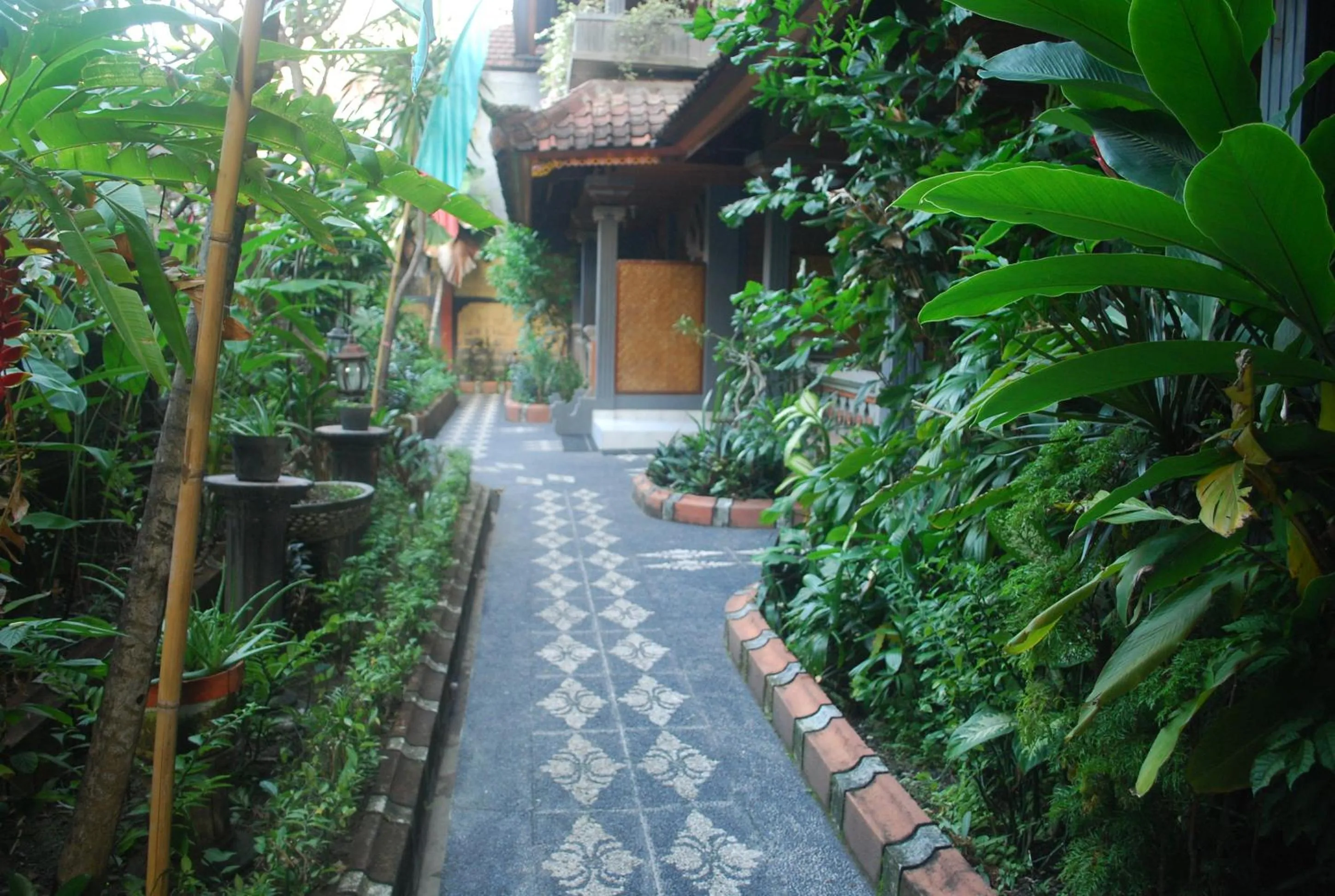 Area and facilities in Hotel Sorga Cottages