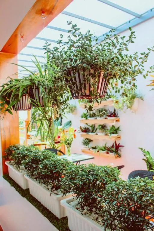 Garden in An Bang beach White Sand Sea Villa