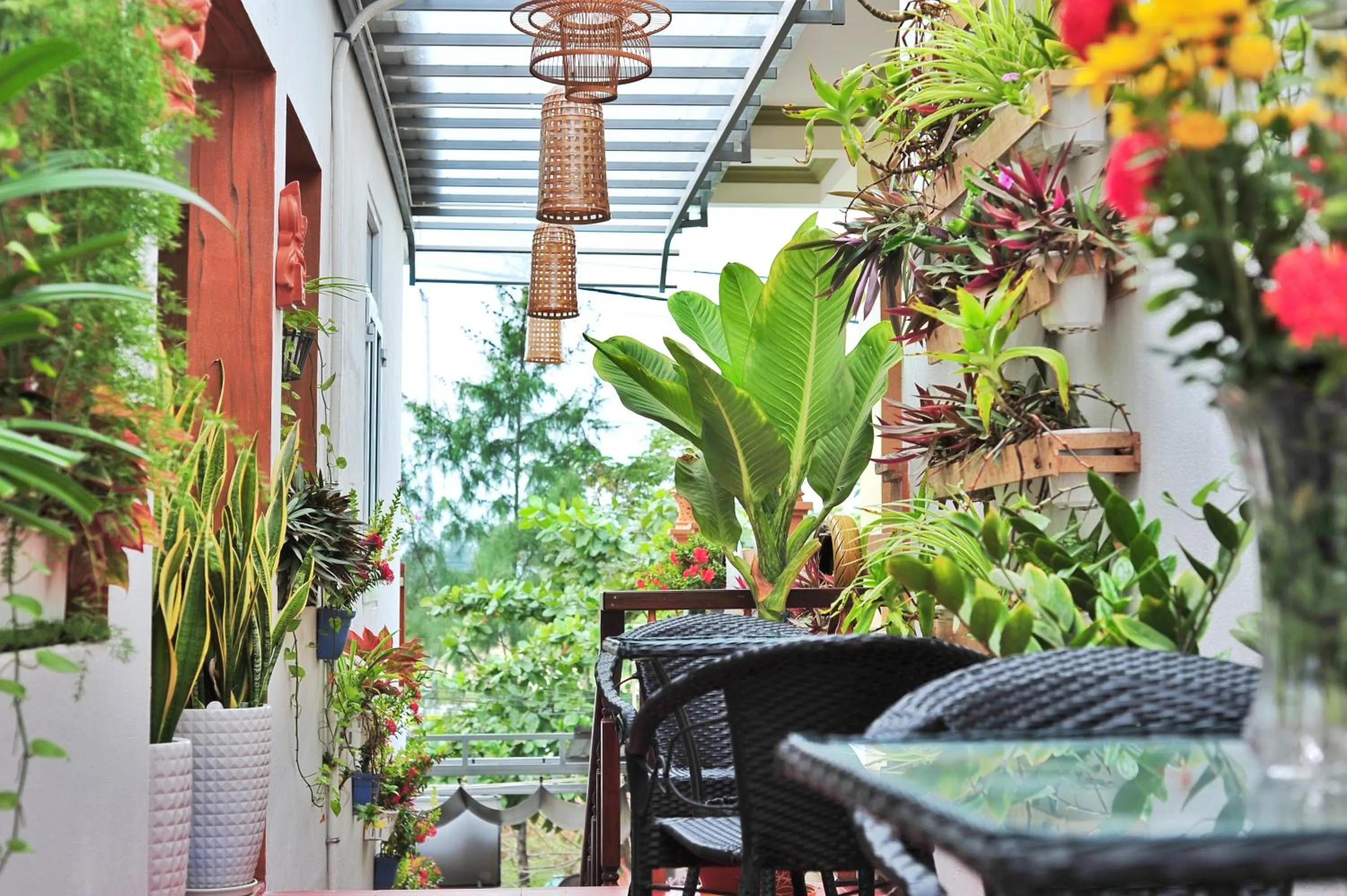 Garden in An Bang beach White Sand Sea Villa