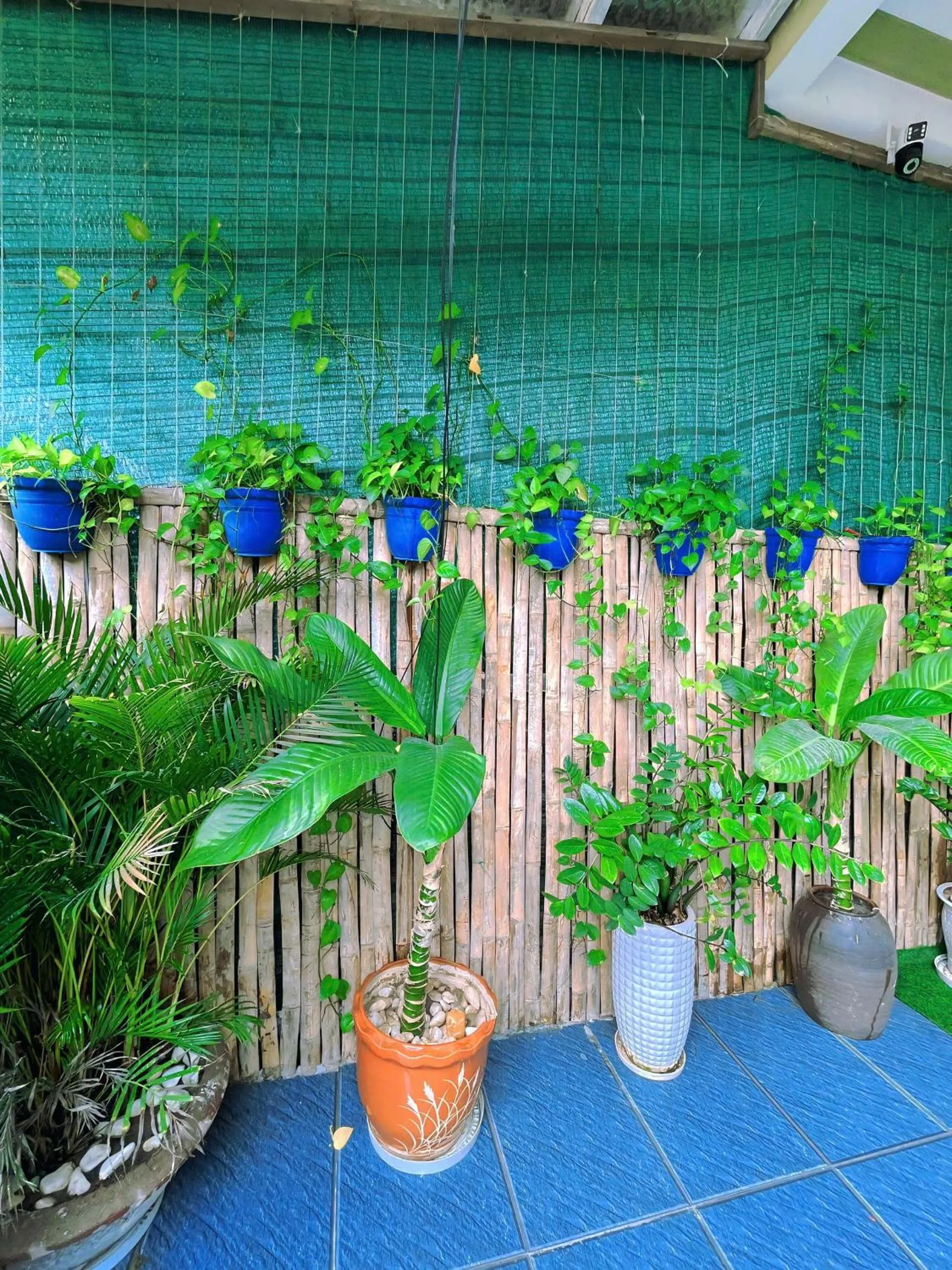Garden in An Bang beach White Sand Sea Villa