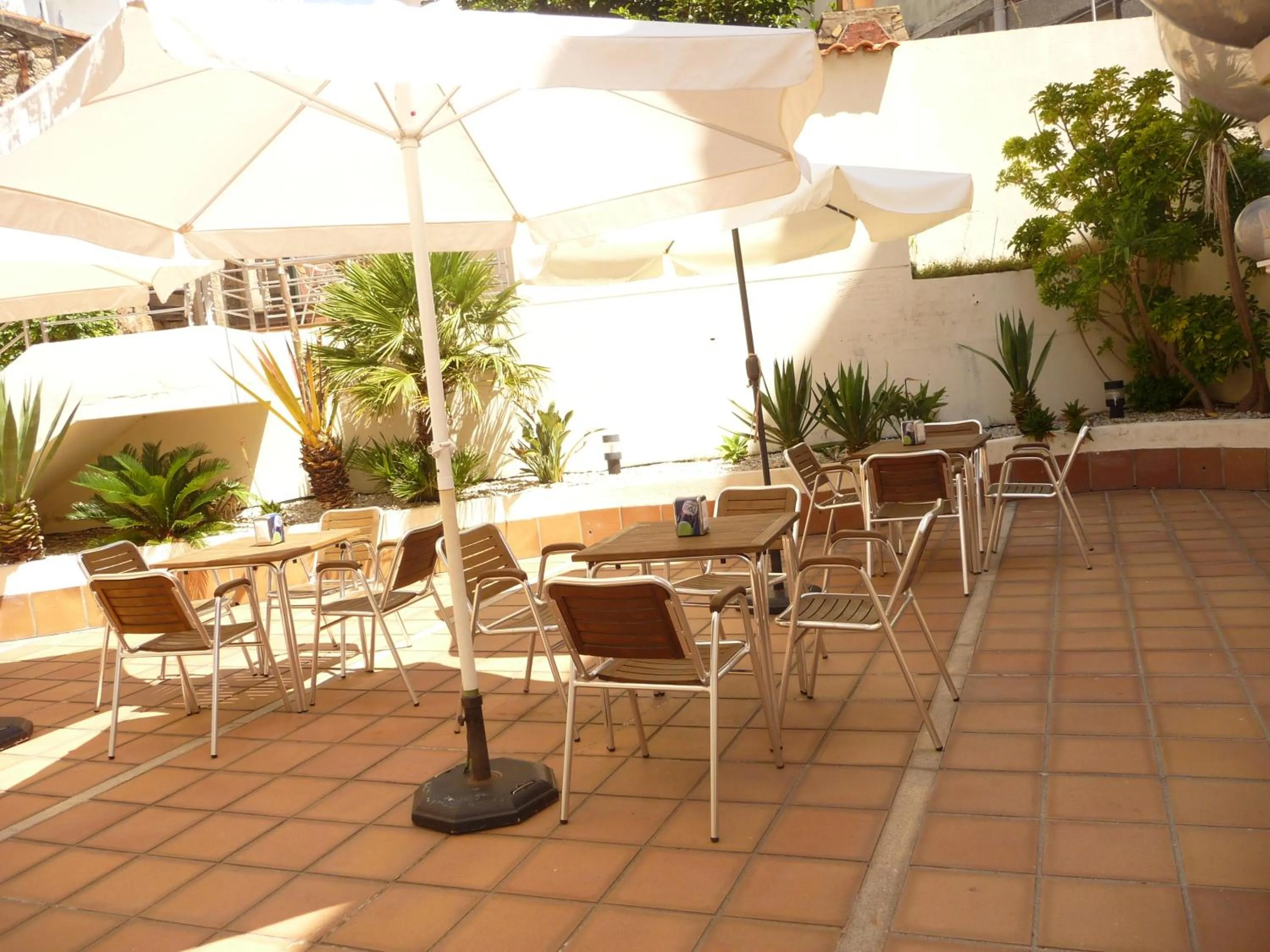 Garden in Hotel Atalaya II