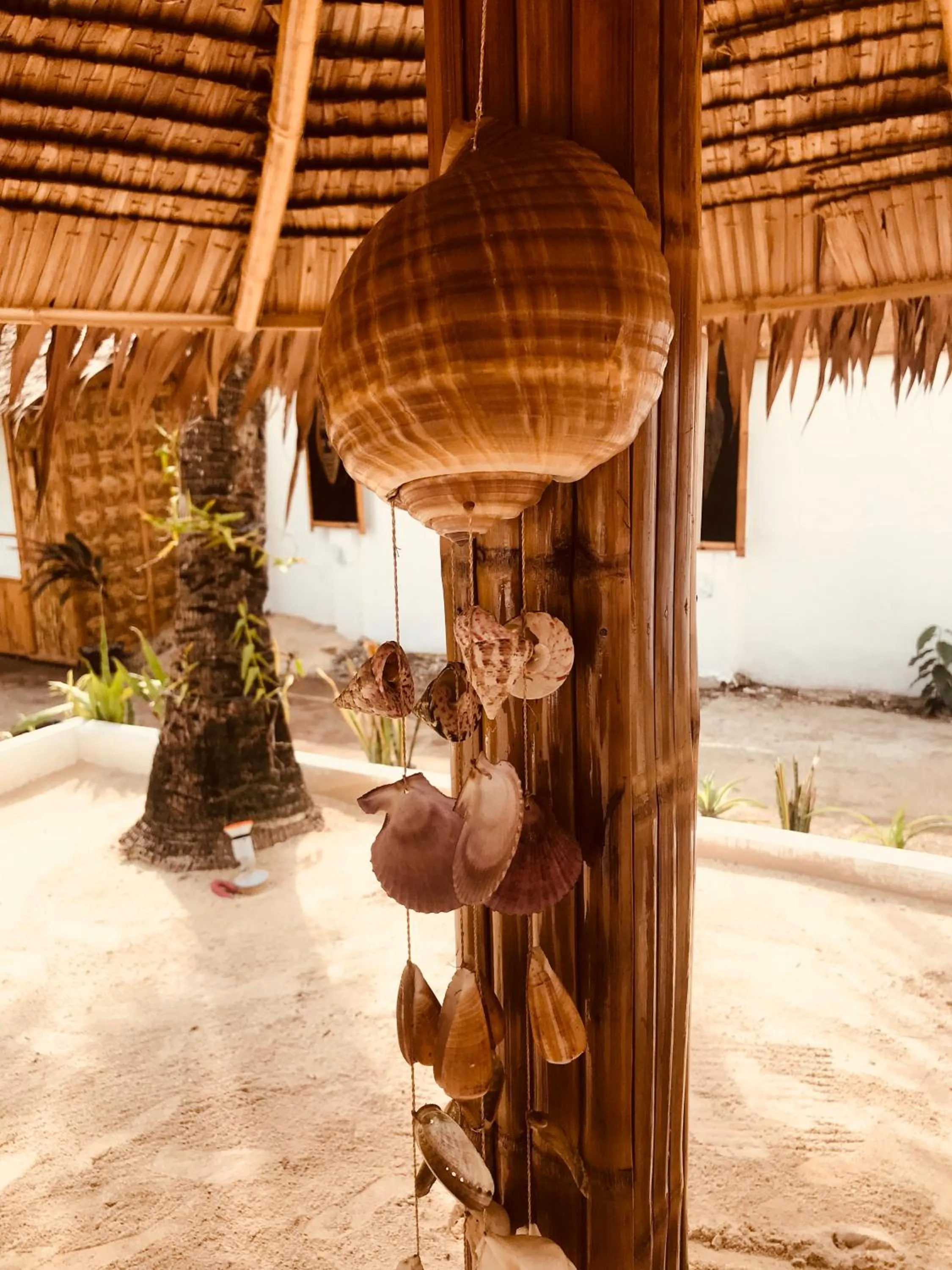 Area and facilities in Everyday Sunday Hotel & Cafe