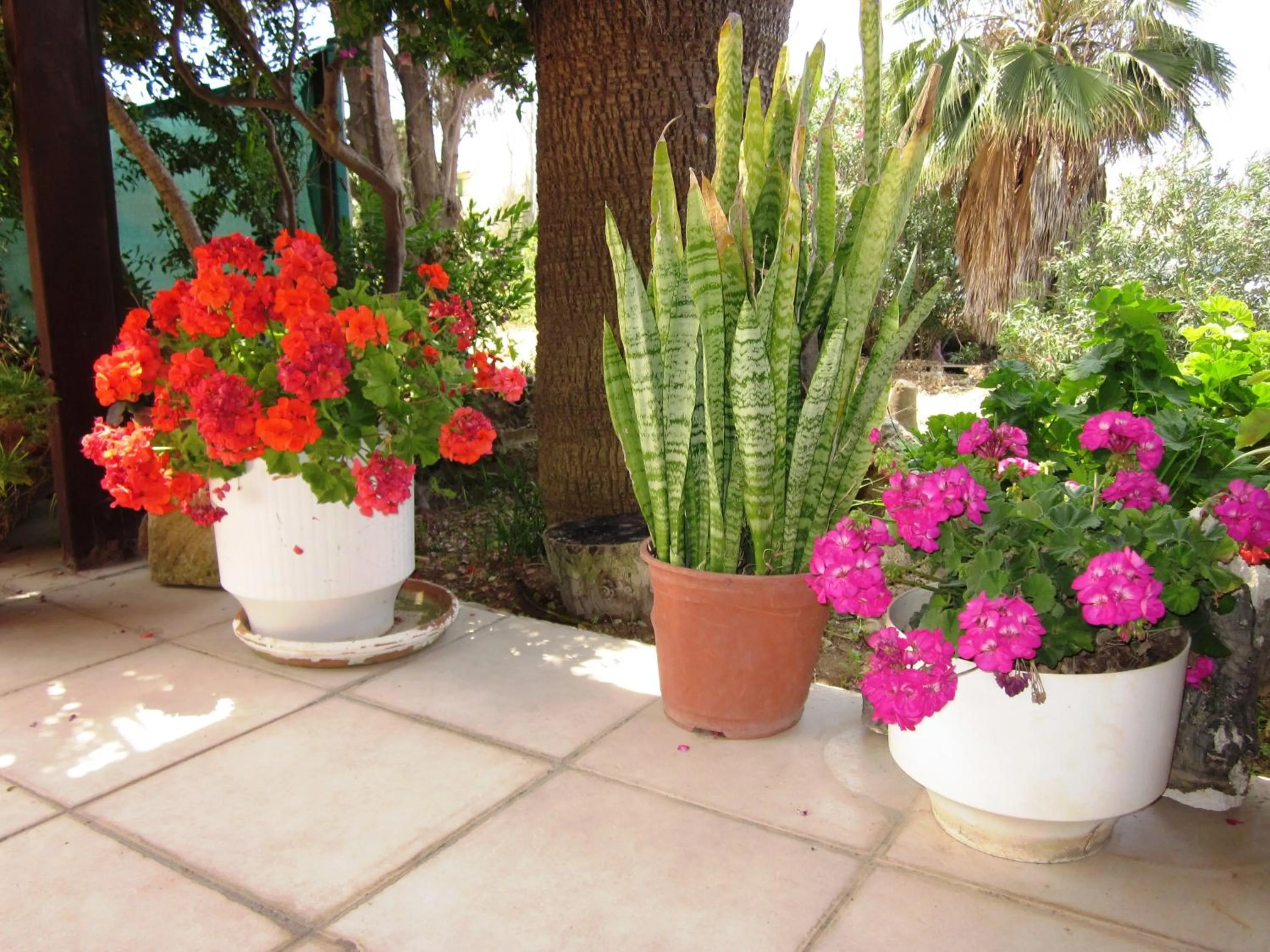 Balcony/Terrace in Georgia Apartments