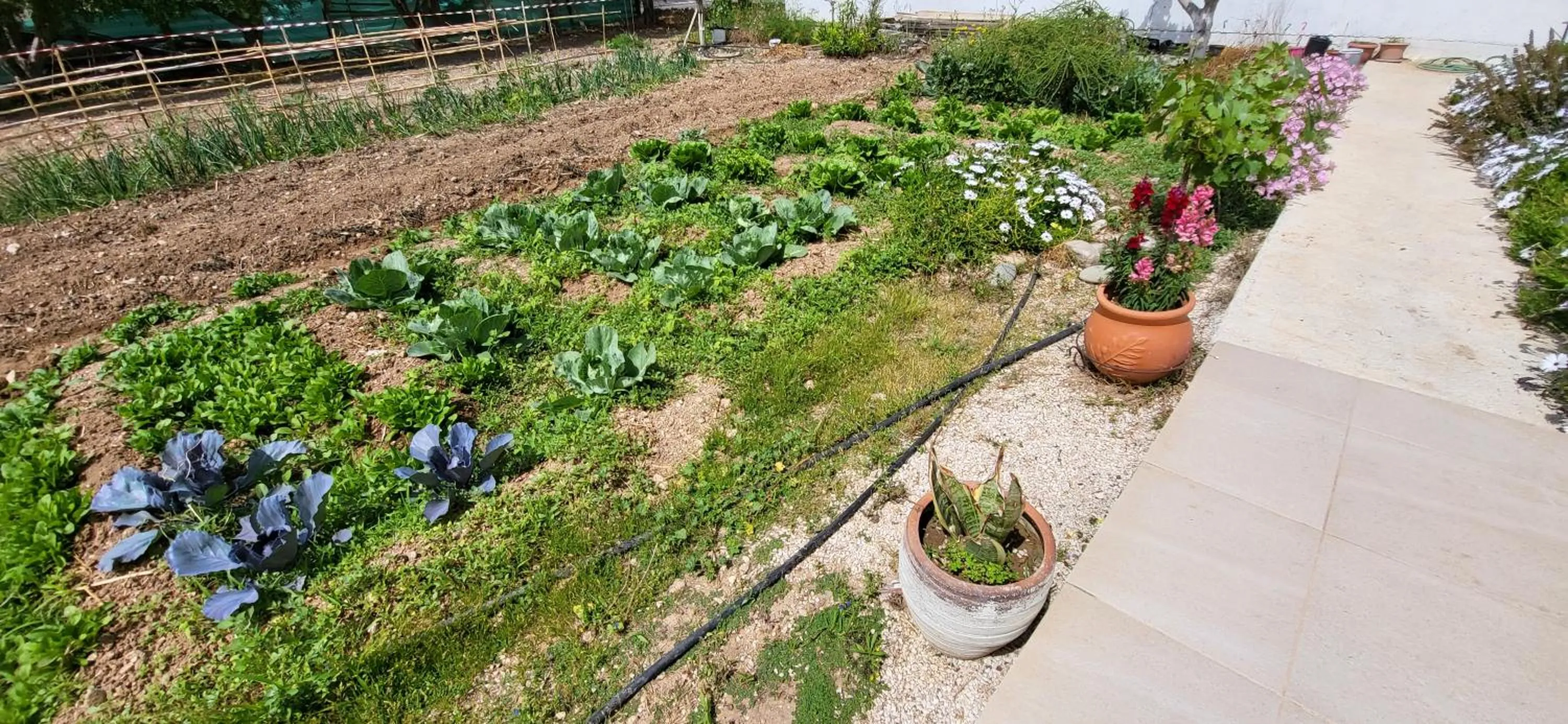 Property building in Georgia Apartments