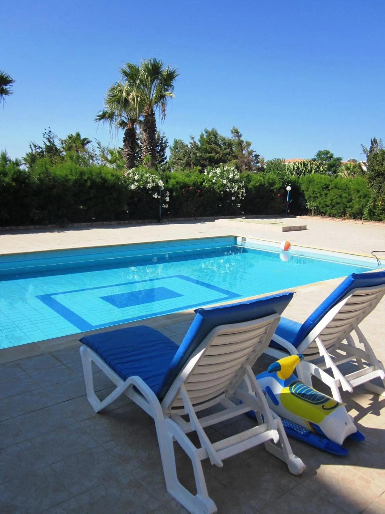Balcony/Terrace in Georgia Apartments