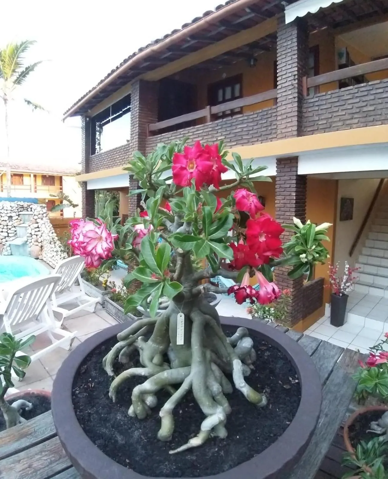 Decorative detail in Pousada A Flor da Terra