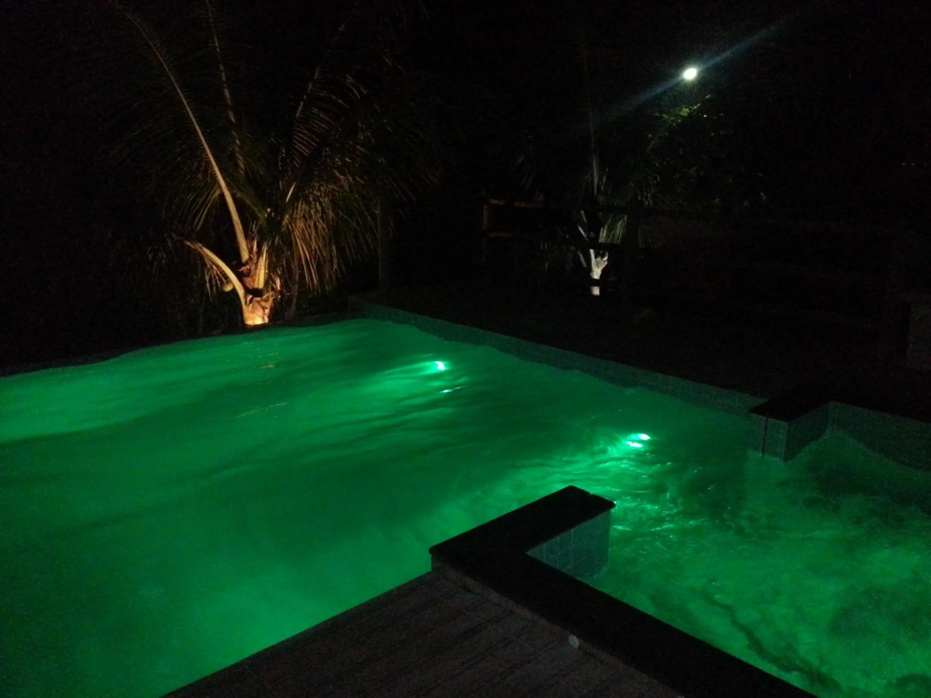 Swimming pool in Hotel das Palmeiras