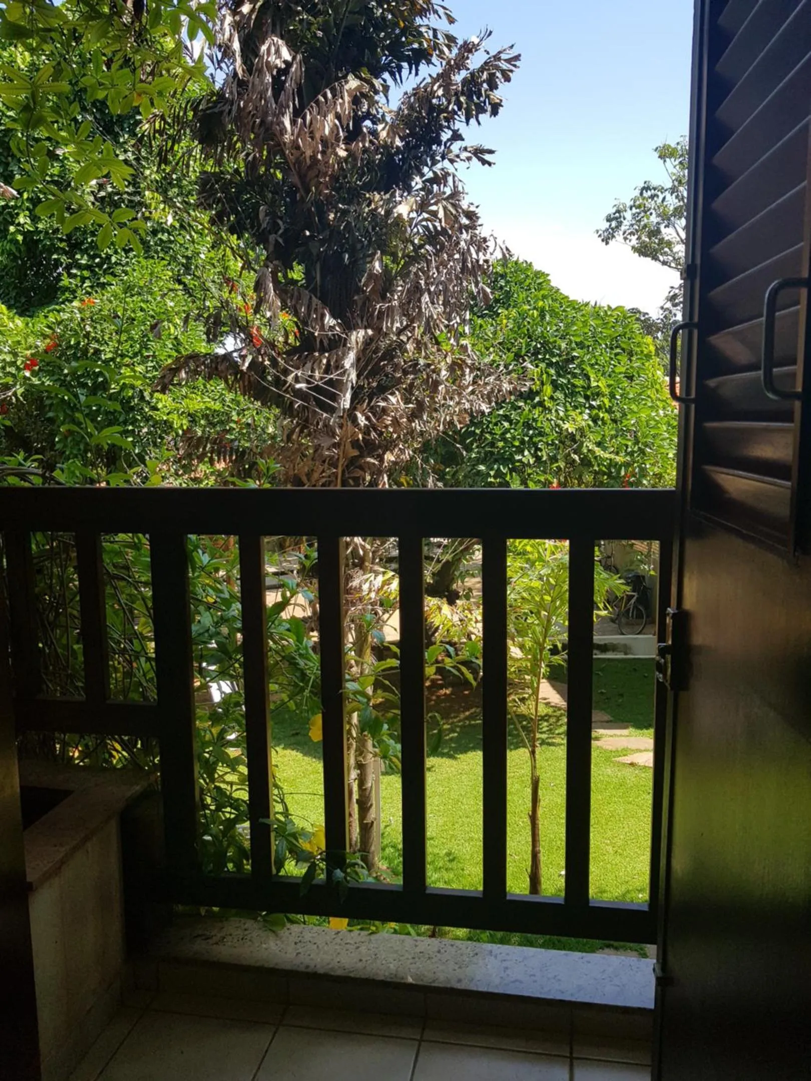 View (from property/room) in Hotel das Palmeiras