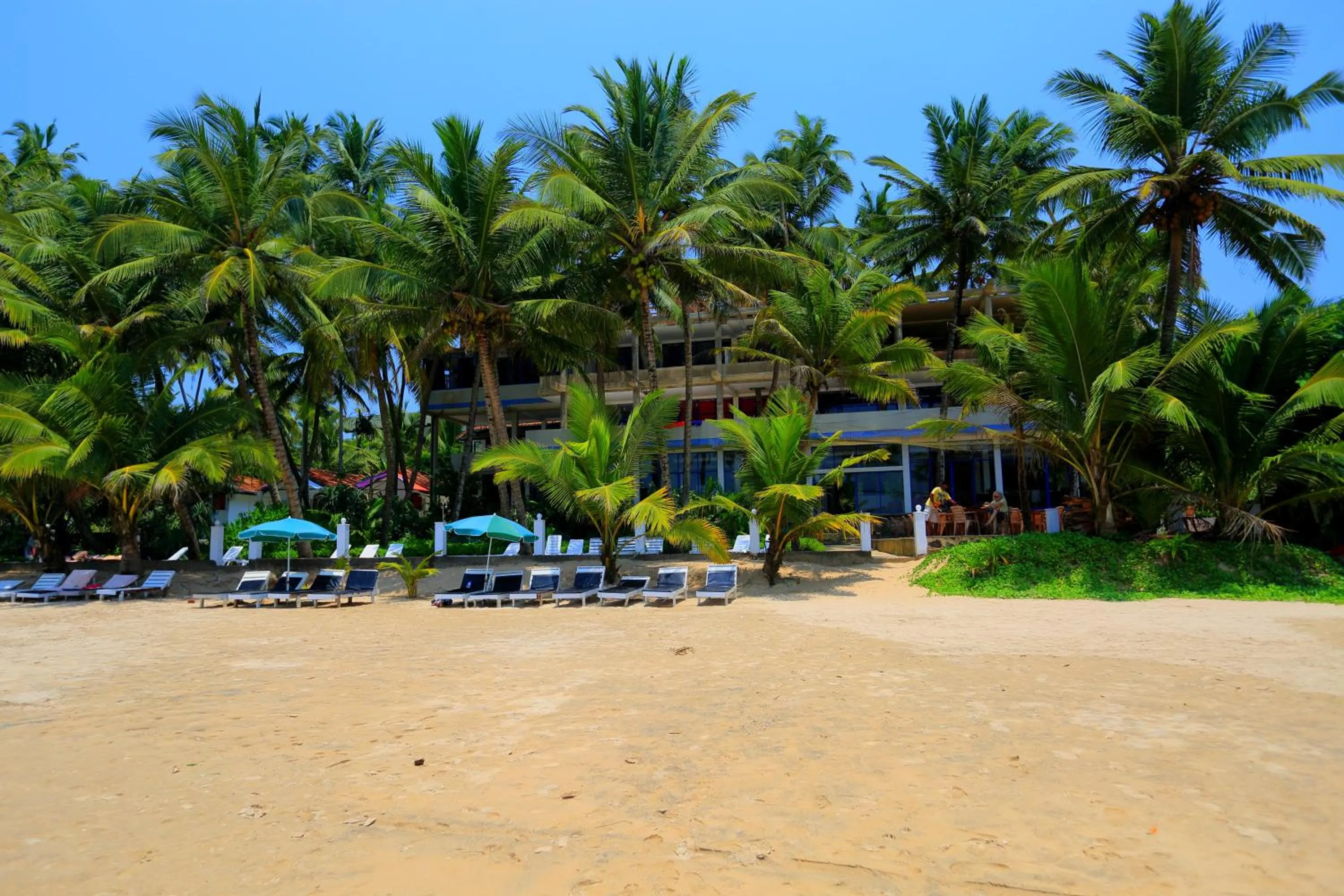 Day in Jagabay Resort & Surfing School