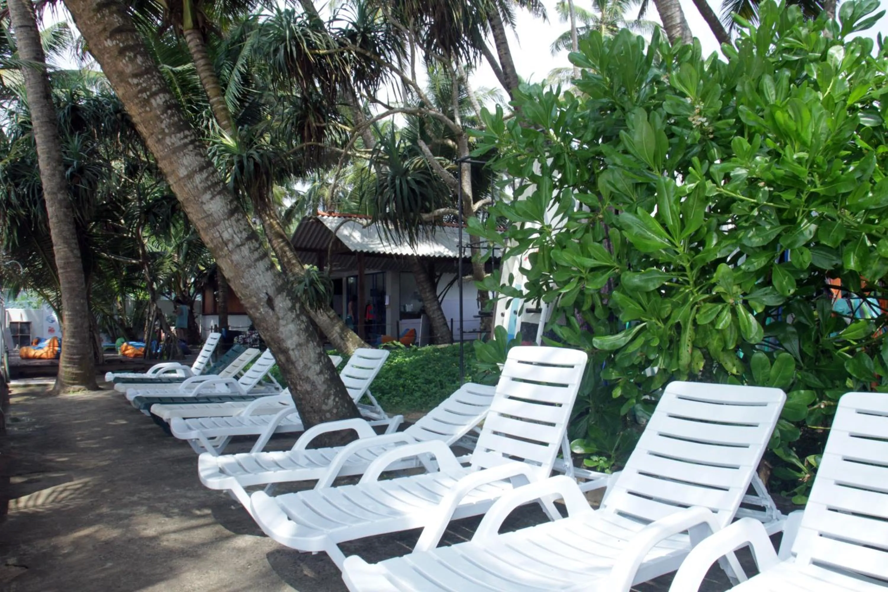 Day in Jagabay Resort & Surfing School