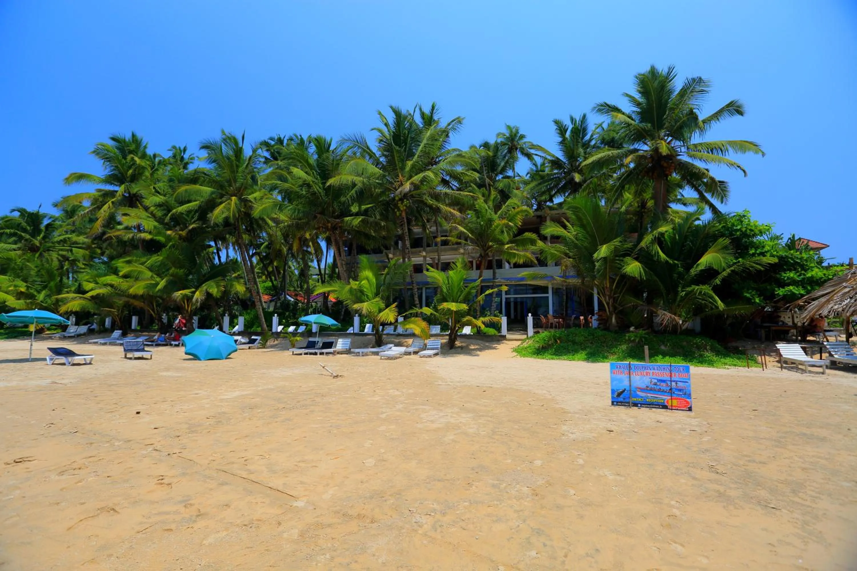 Day in Jagabay Resort & Surfing School