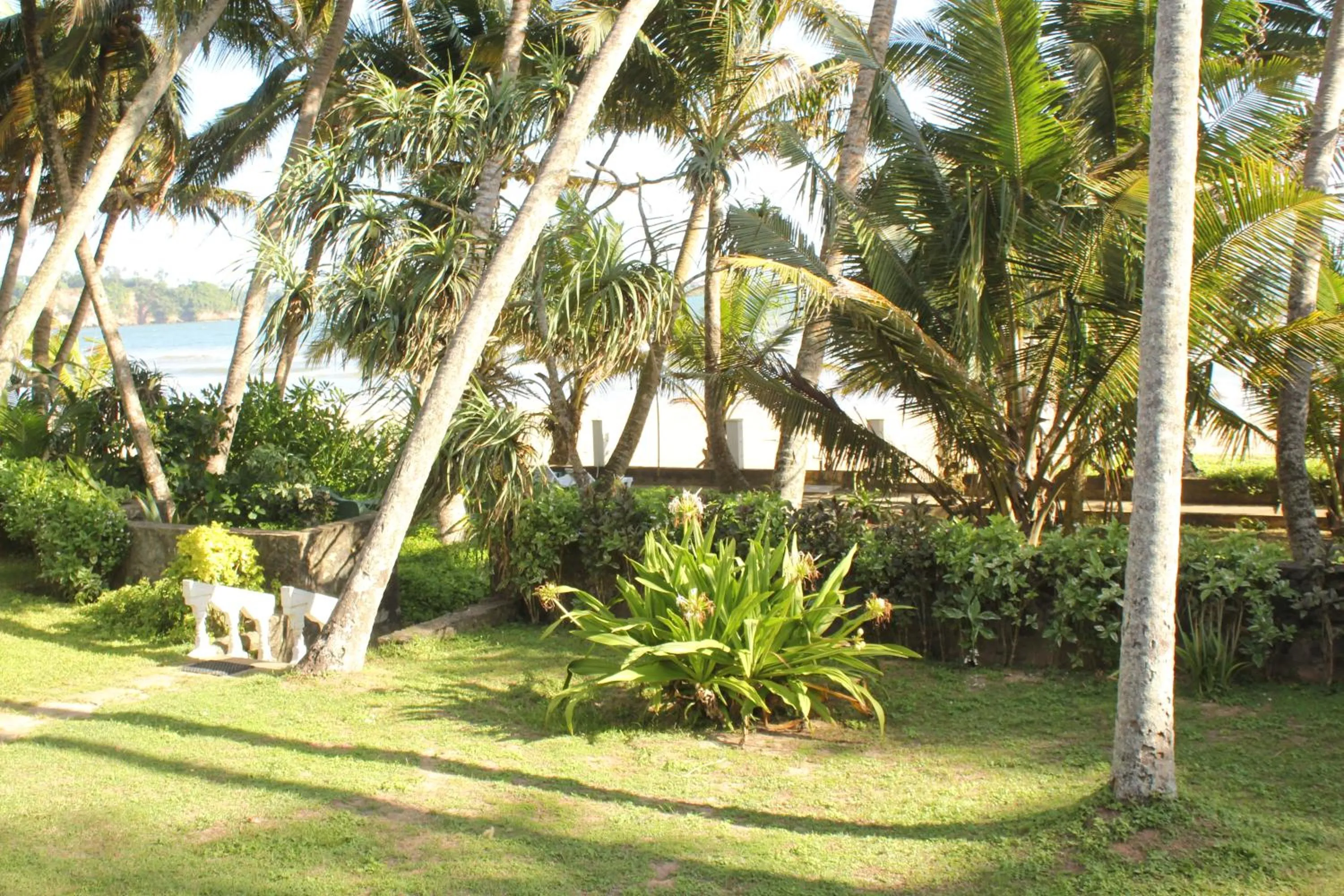 Day in Jagabay Resort & Surfing School