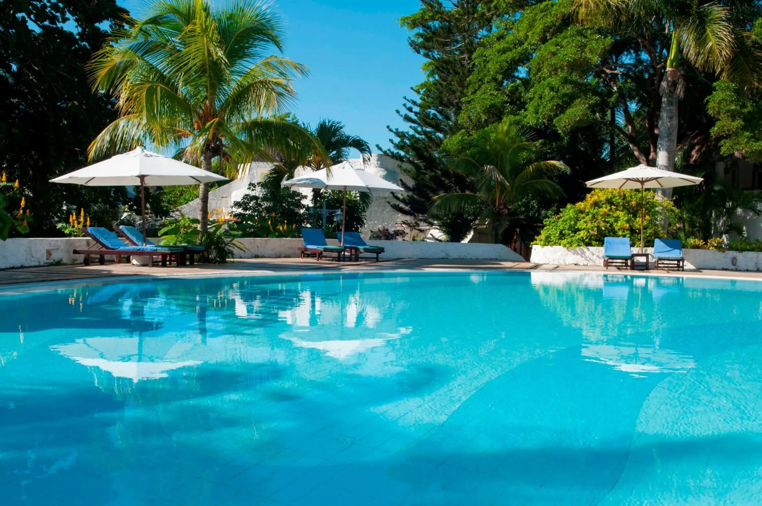 Swimming Pool in Casuarina Resort & Spa