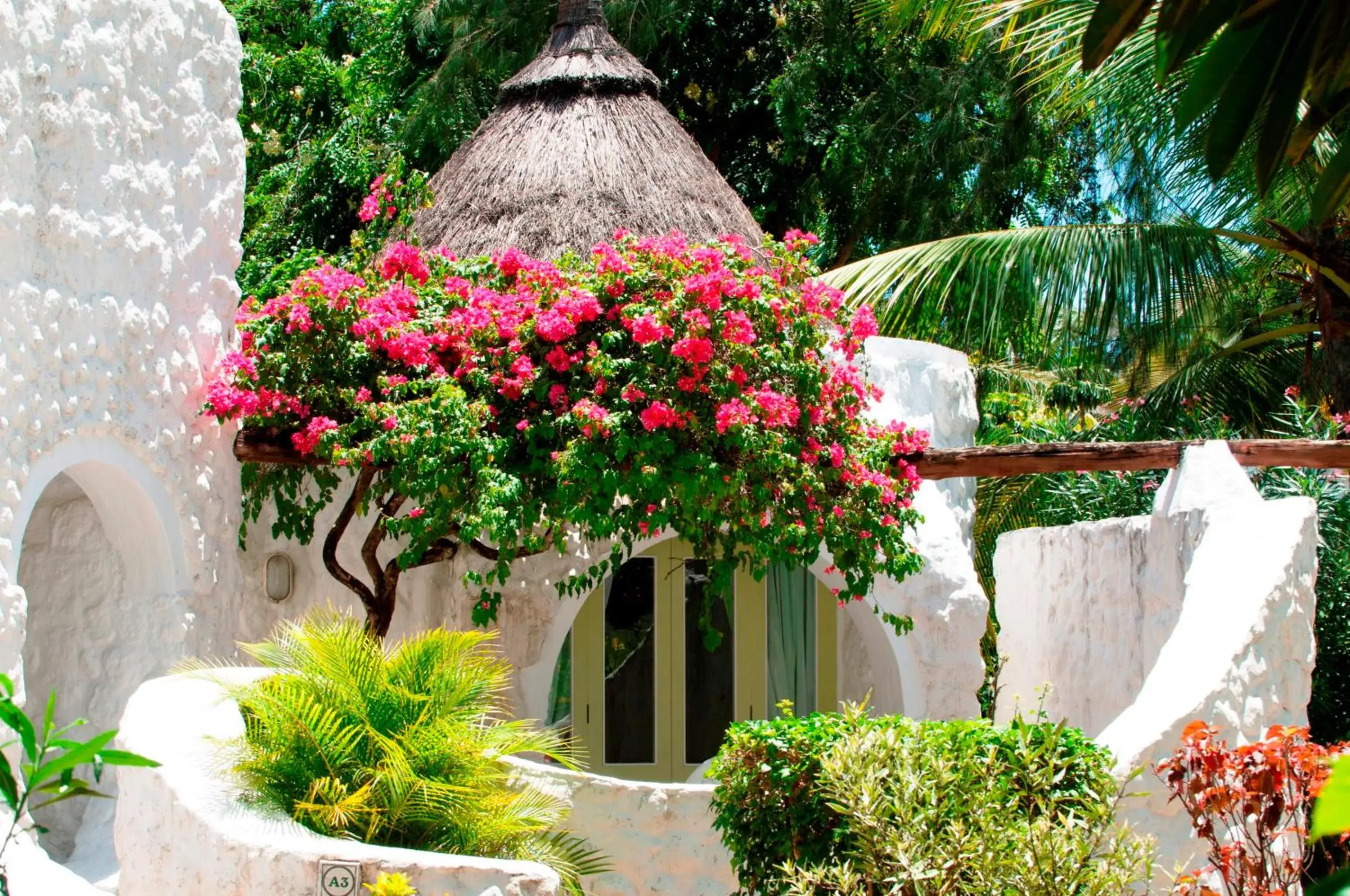 Garden, Patio/Outdoor Area in Casuarina Resort & Spa