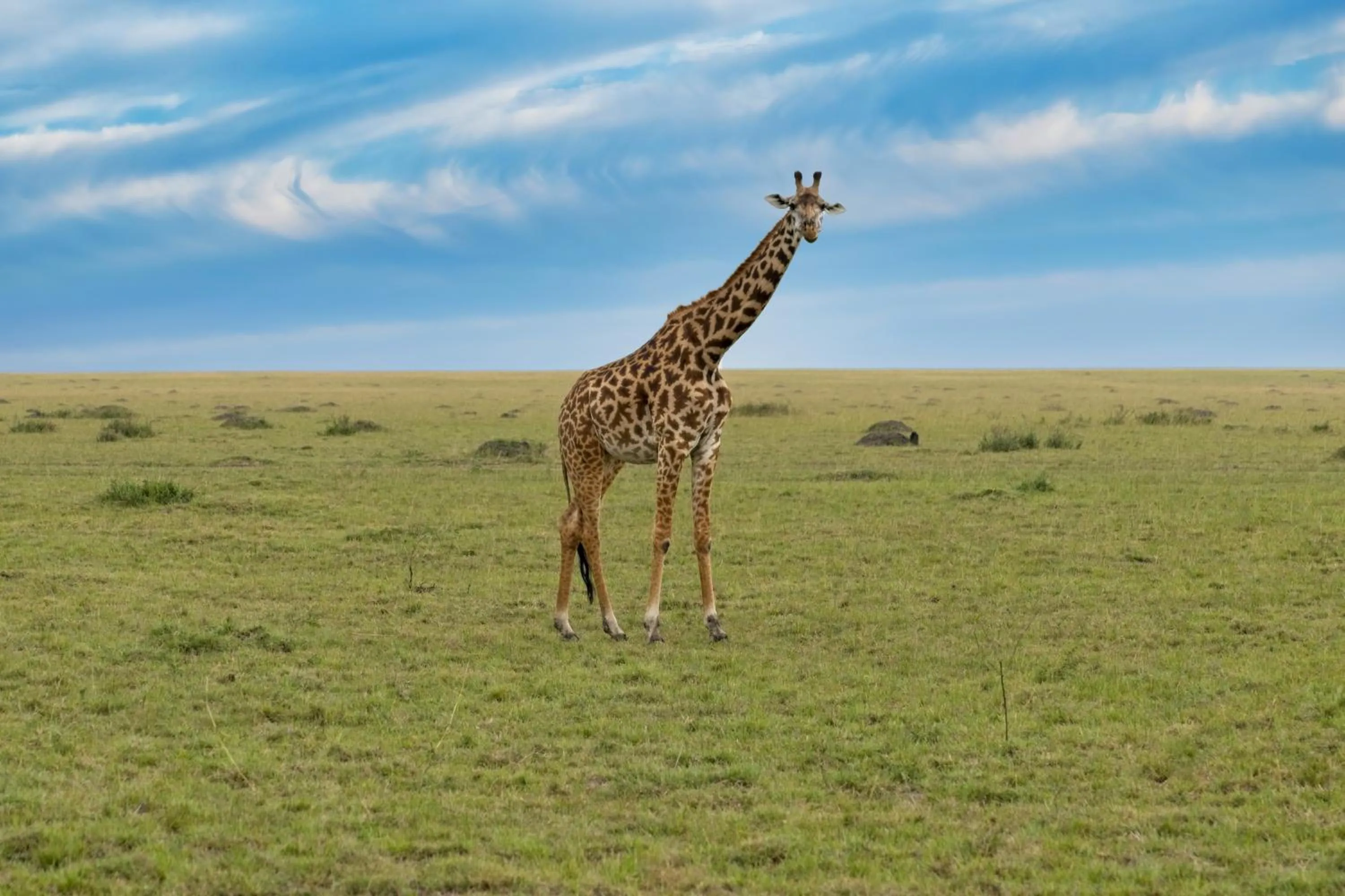 Day in Muthu Keekorok Lodge, Maasai Mara, Narok