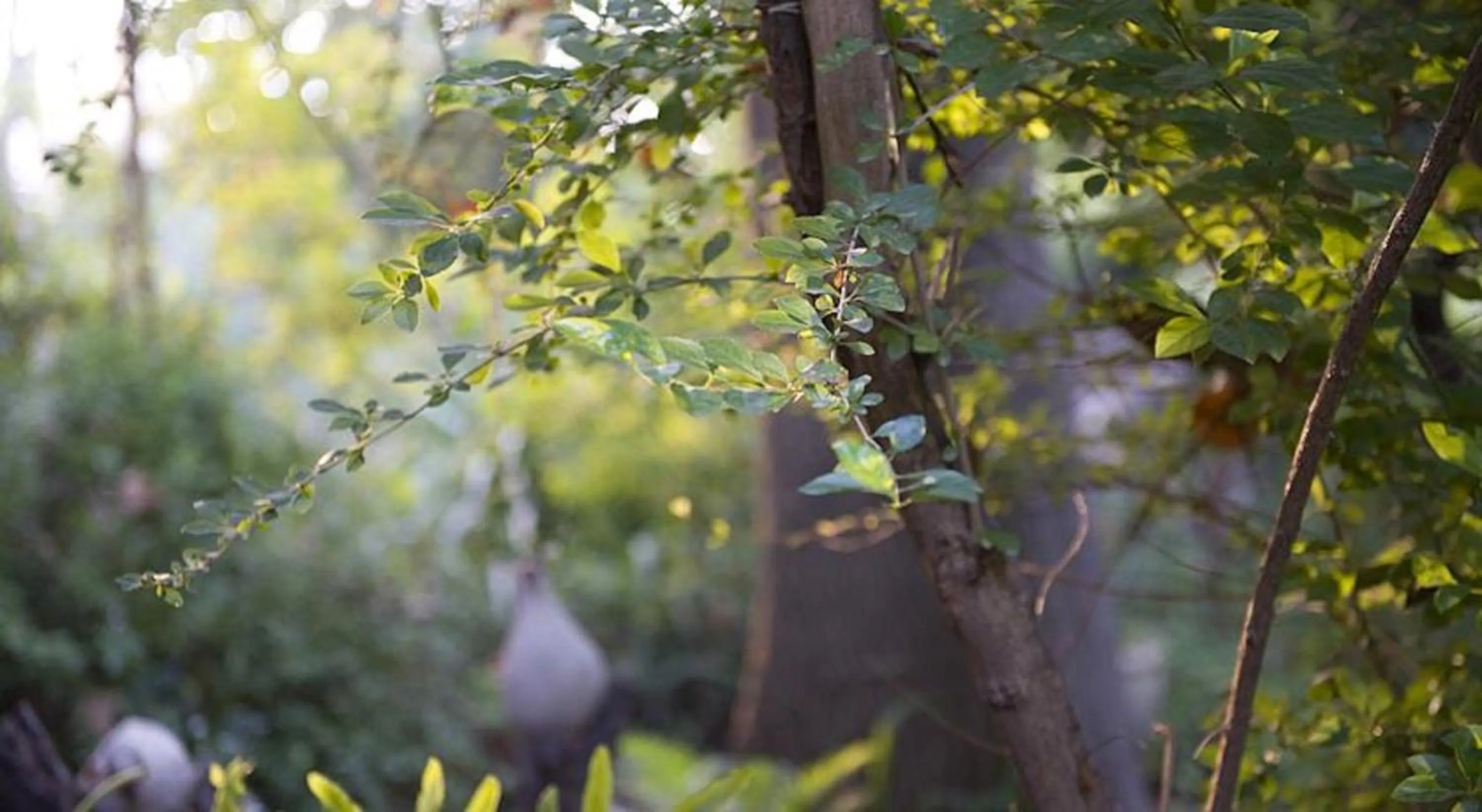 Natural landscape in Vitrage Holiday Village and Spa