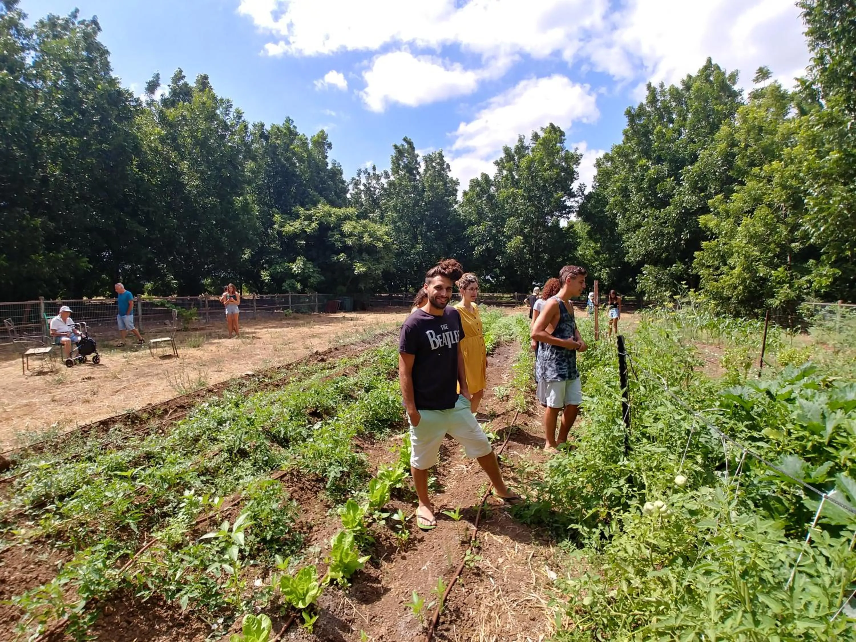 Activities in Vitrage Holiday Village and Spa