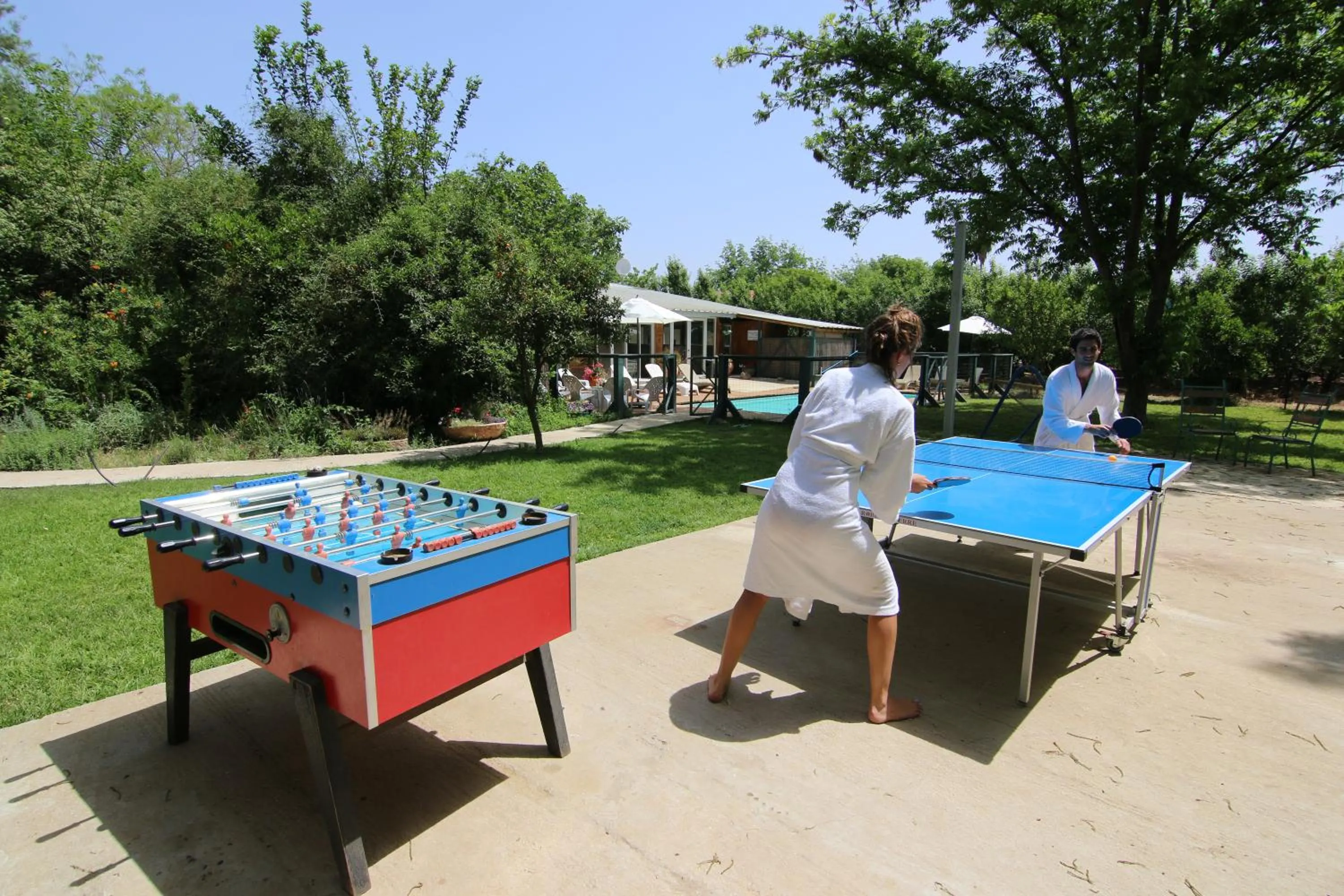 Table tennis in Vitrage Holiday Village and Spa