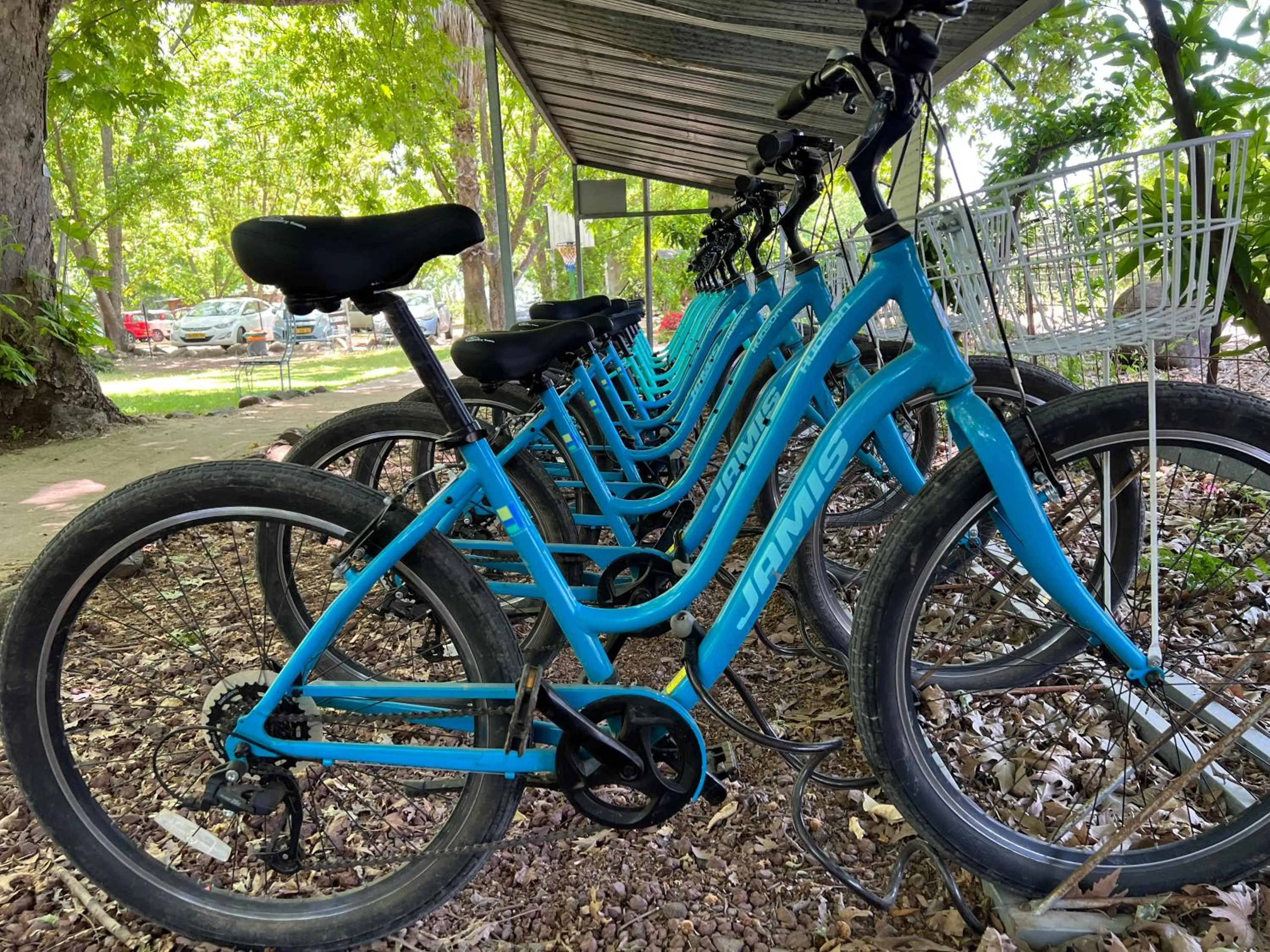 Restaurant/places to eat in Vitrage Holiday Village and Spa