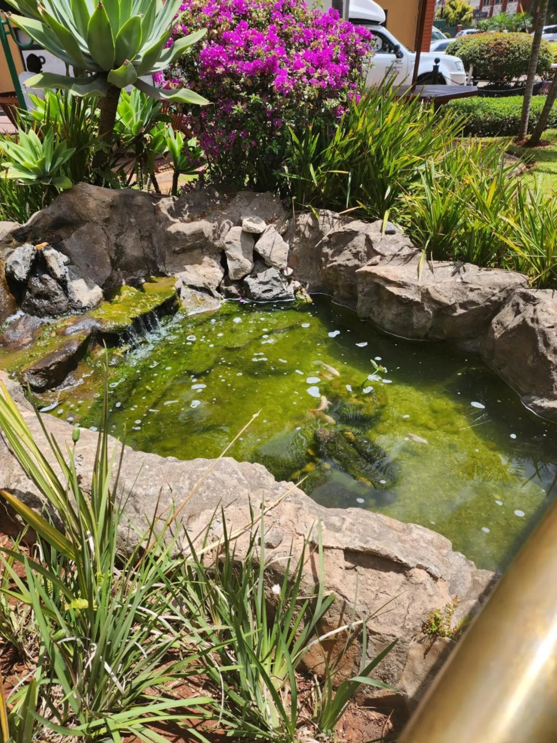 Garden in Boma Inn Nairobi