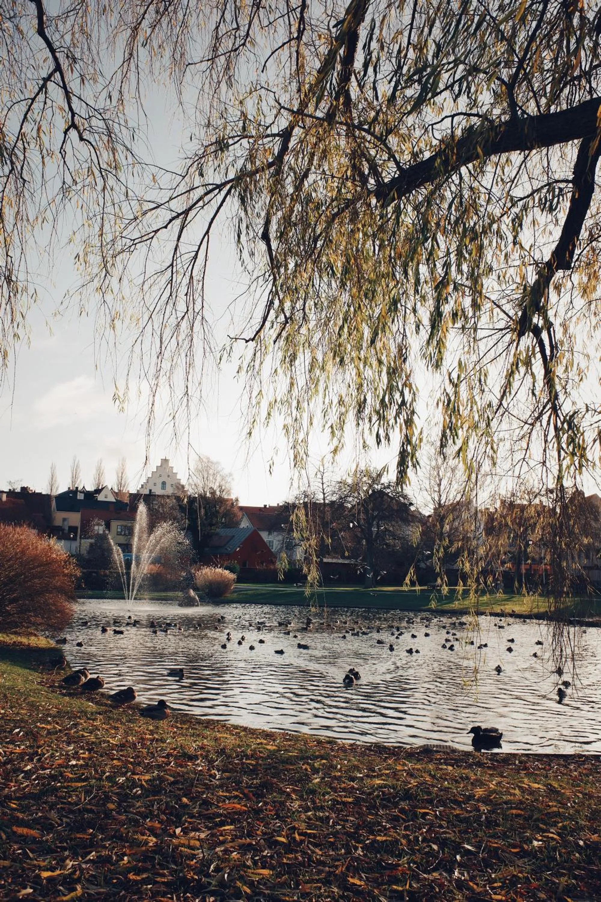 Natural landscape in Kalk Hotel