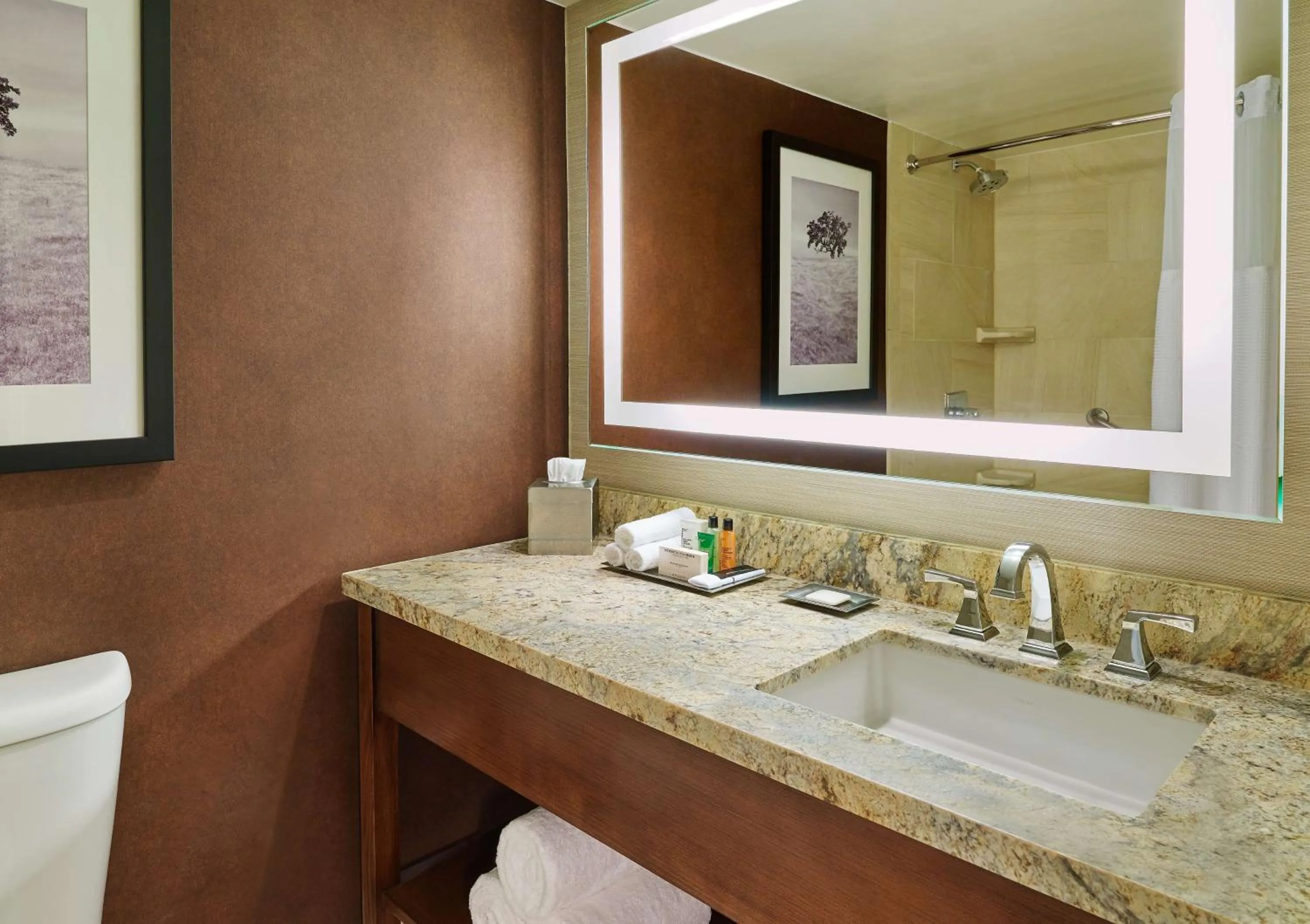 Bathroom in DoubleTree by Hilton San Antonio Airport