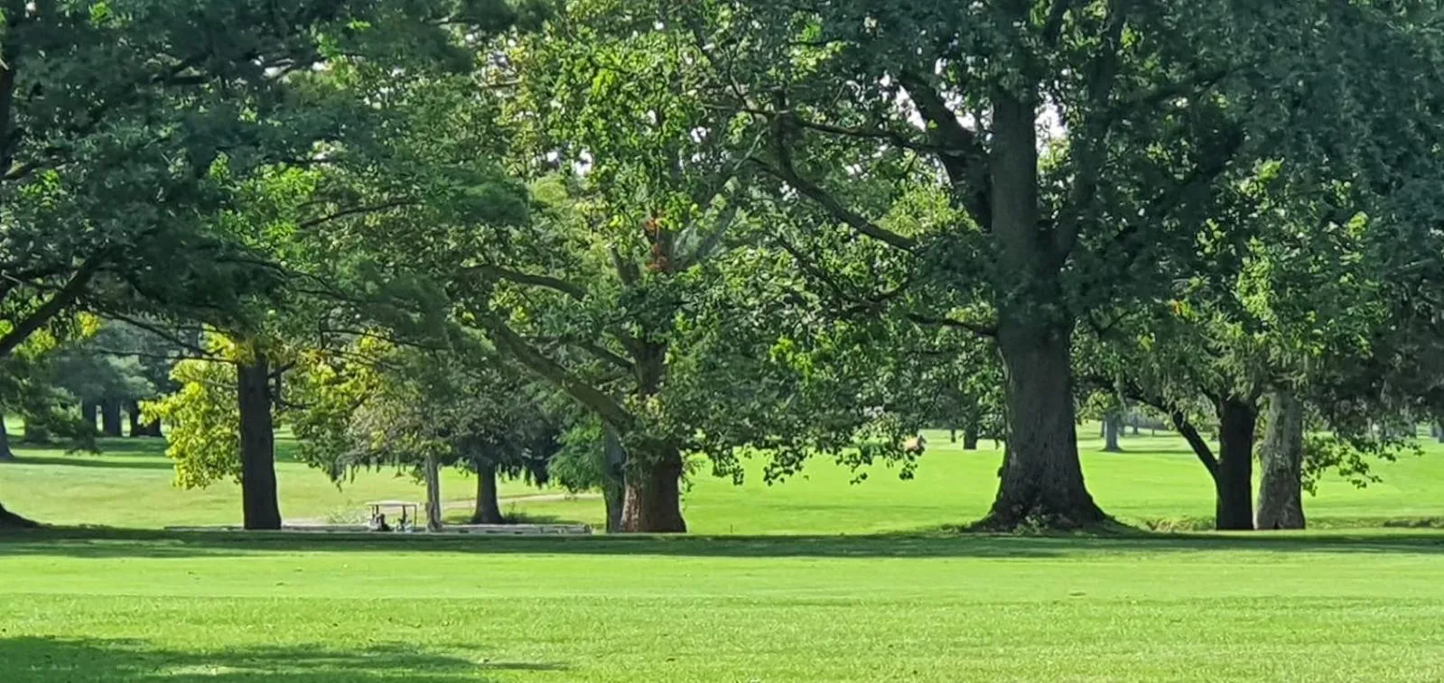 Nearby landmark in Country Club Inn & Suites
