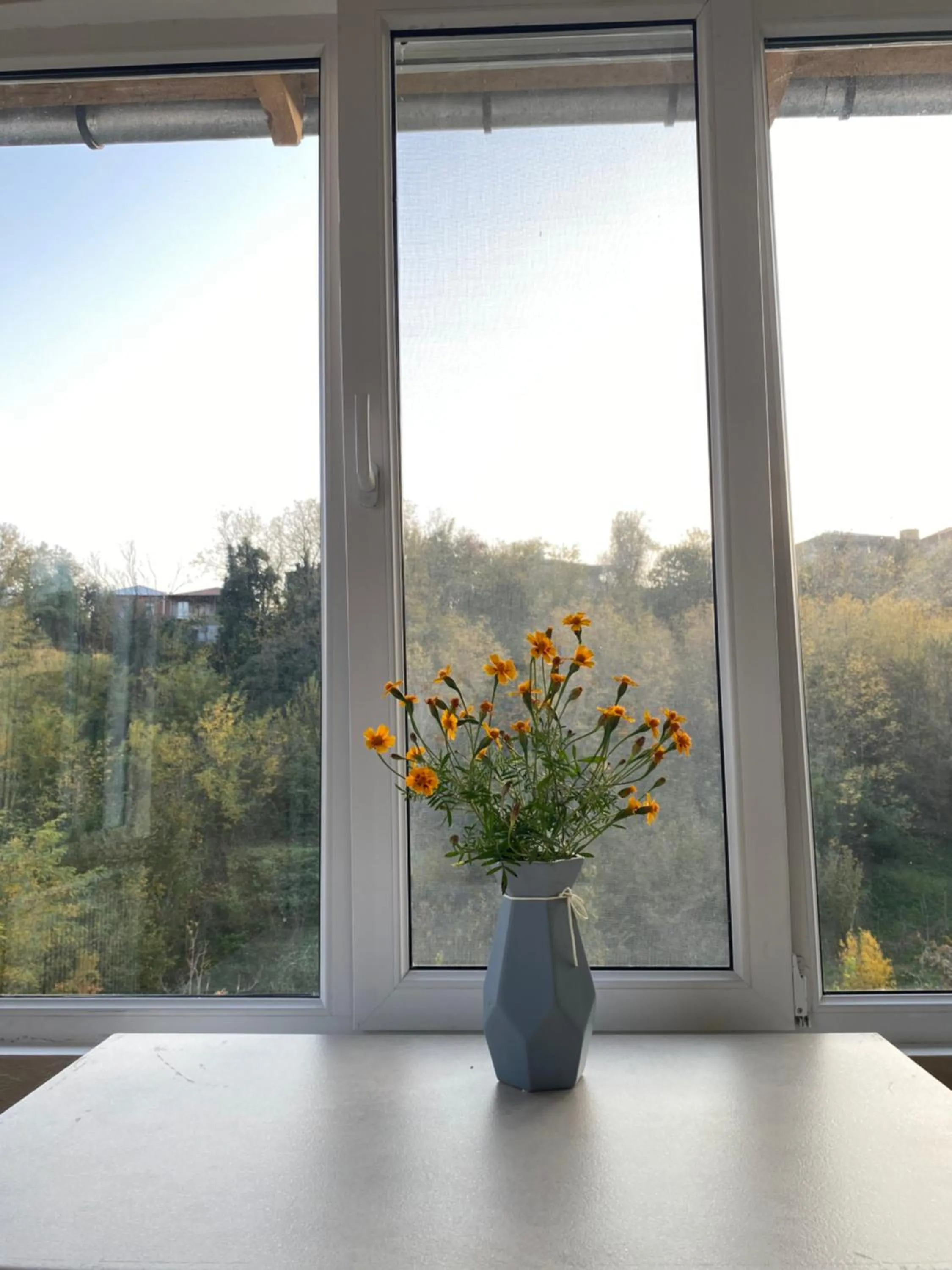 Guesthouse Hill Side