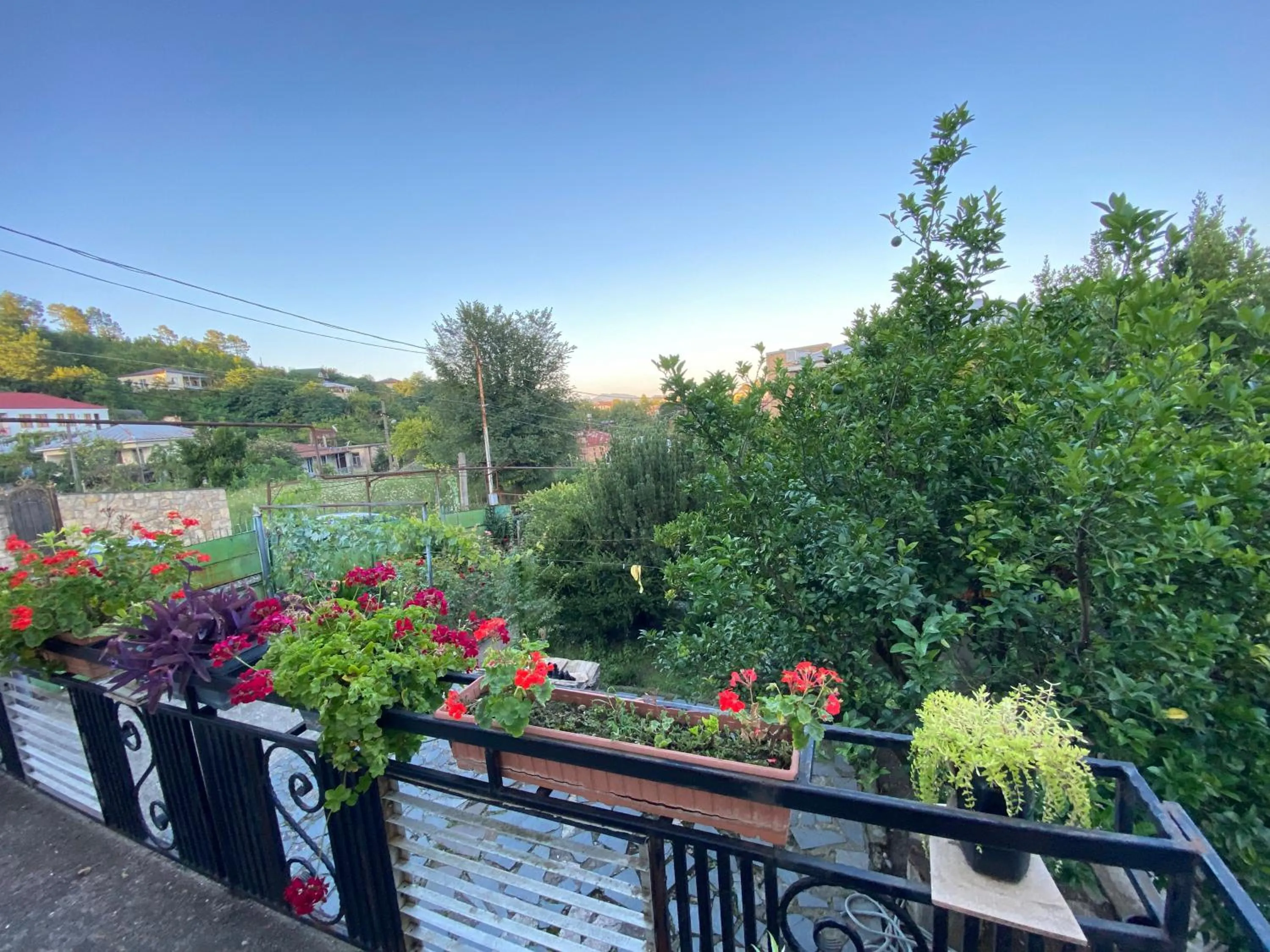 Balcony/Terrace in Guesthouse Hill Side