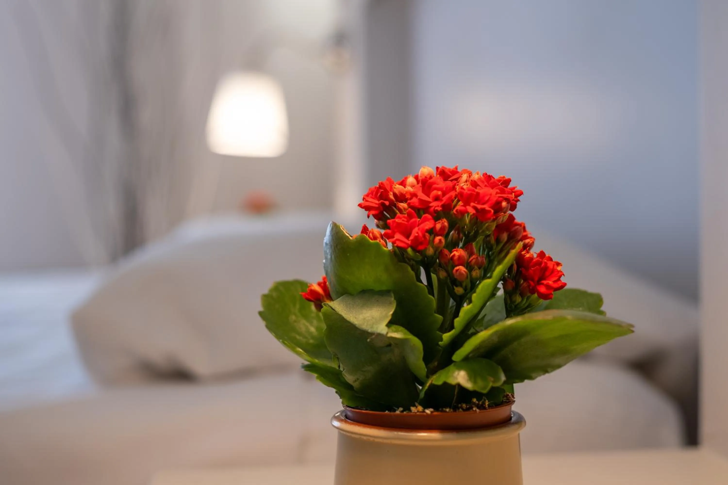 Bed in B&B Accademia