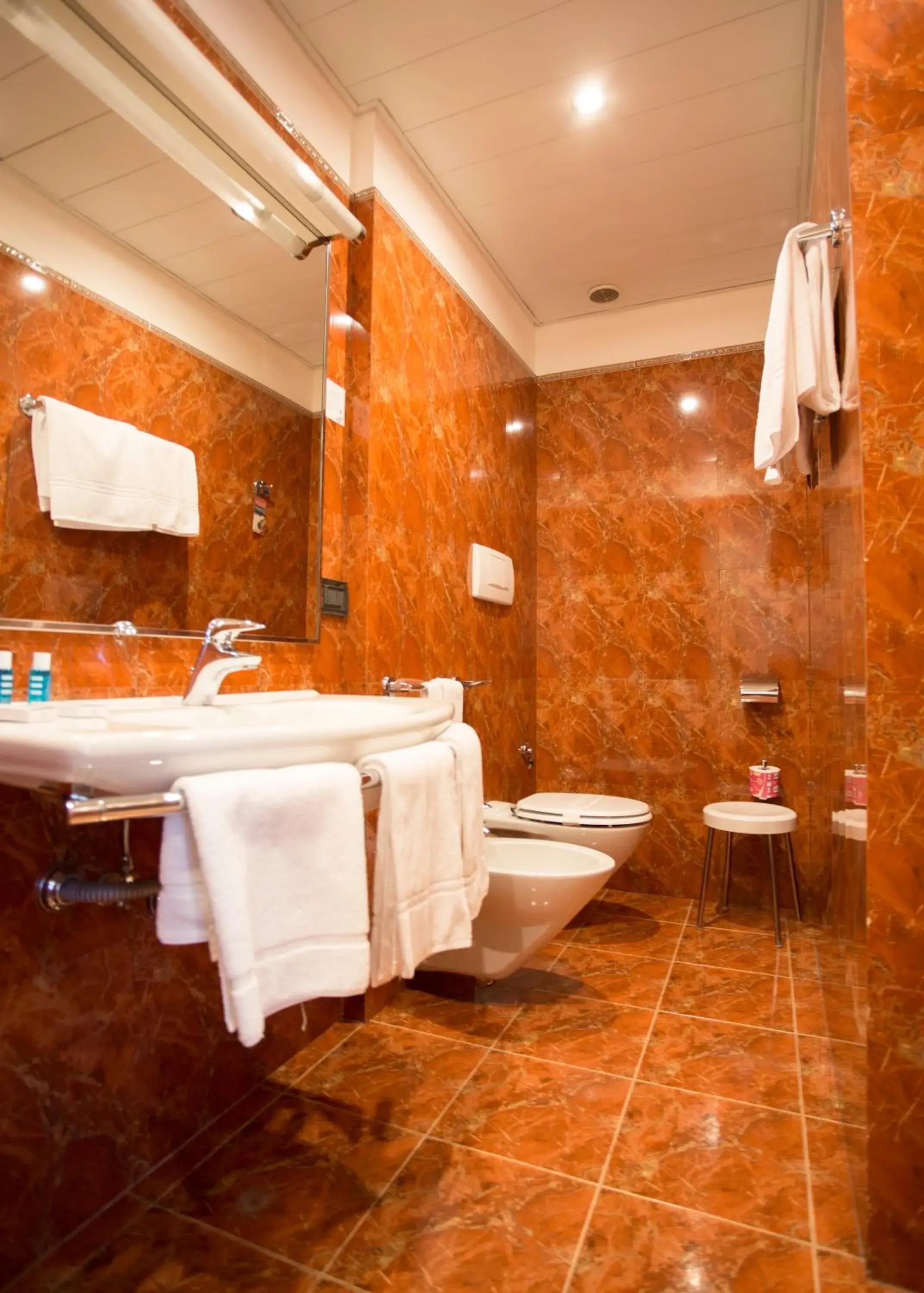 Bathroom in Hotel Europa Bathroom in Hotel Europa