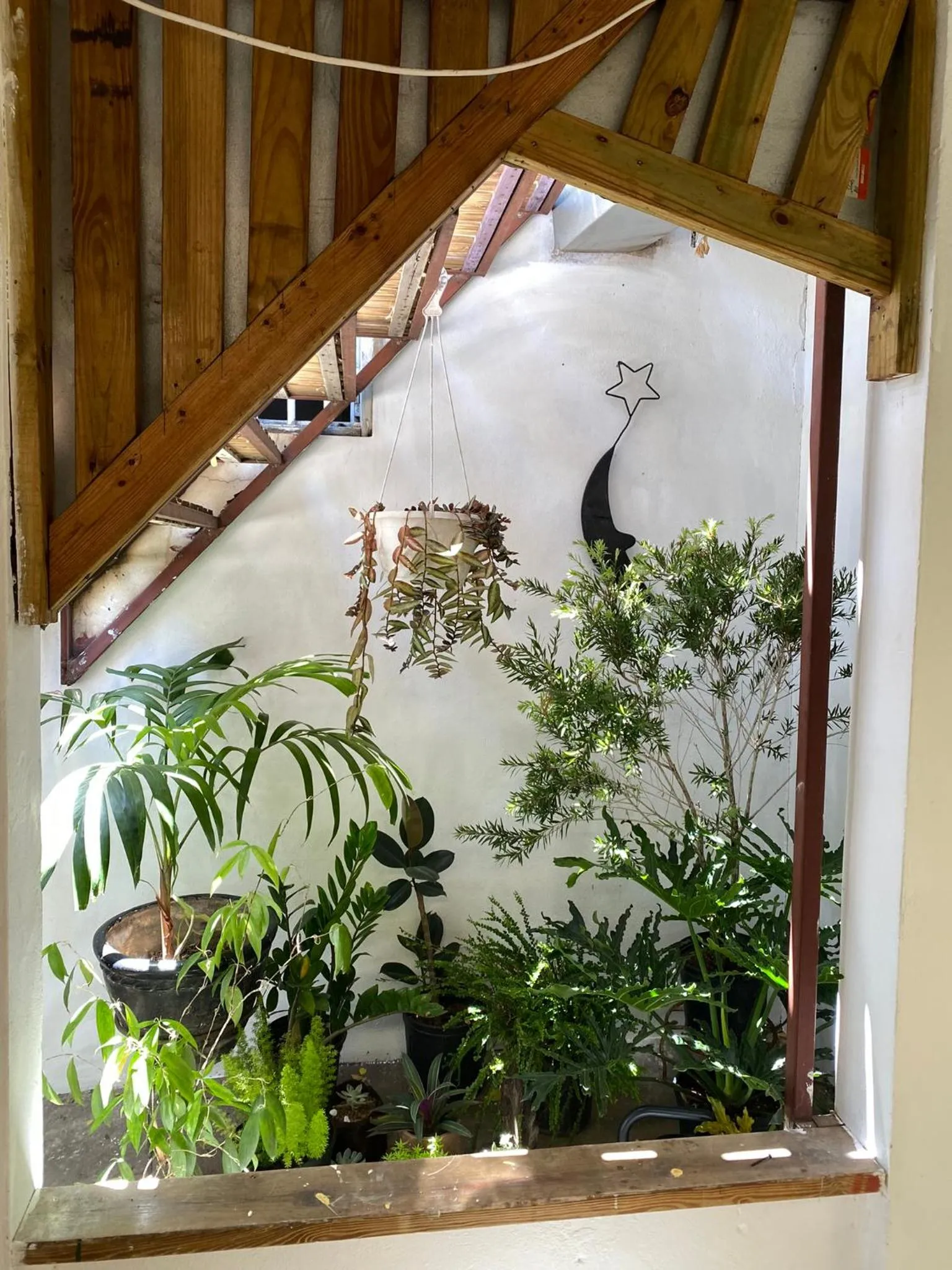 Garden in Ragamuffin Hostel