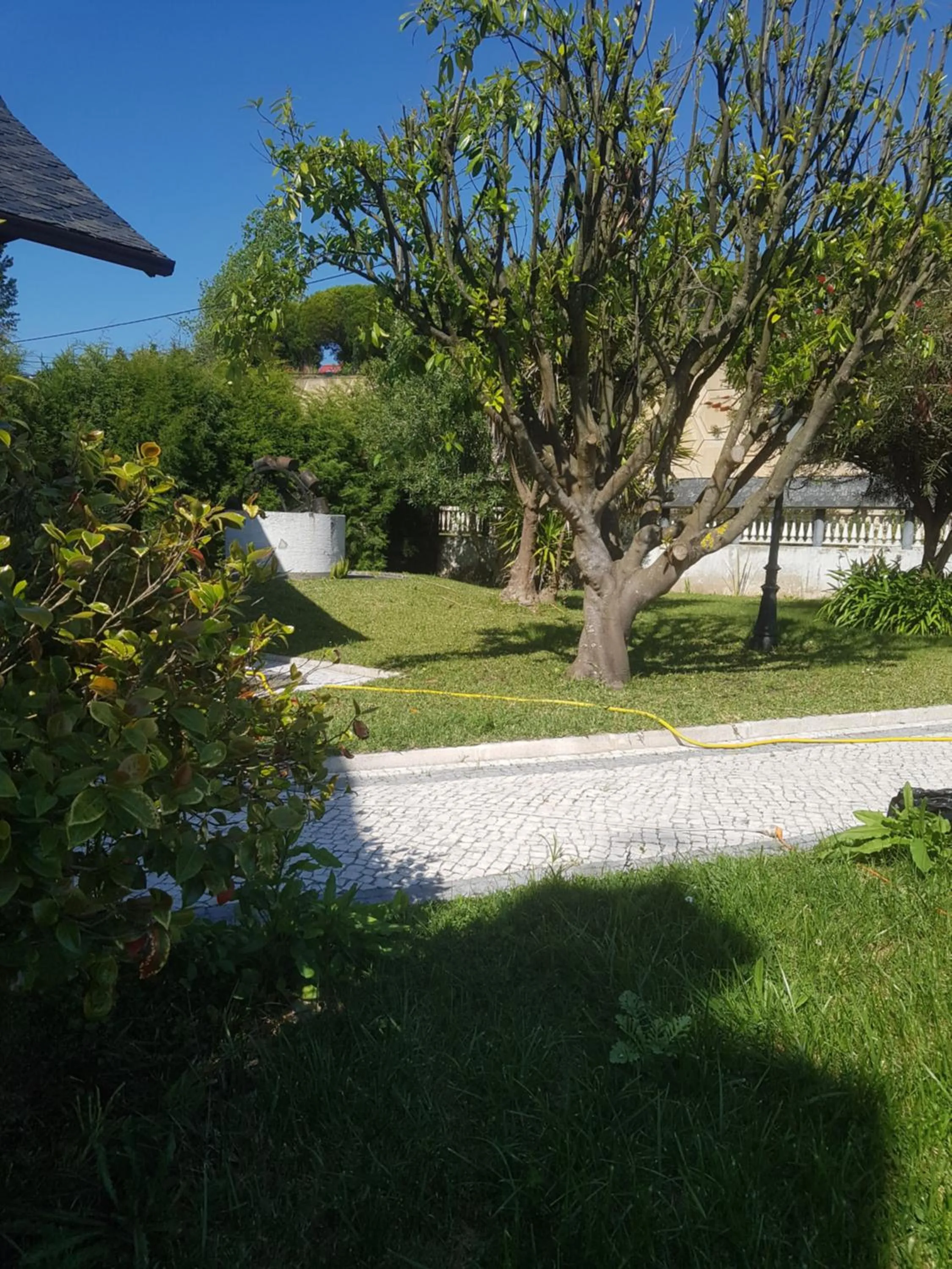 Garden in Cargal leiria