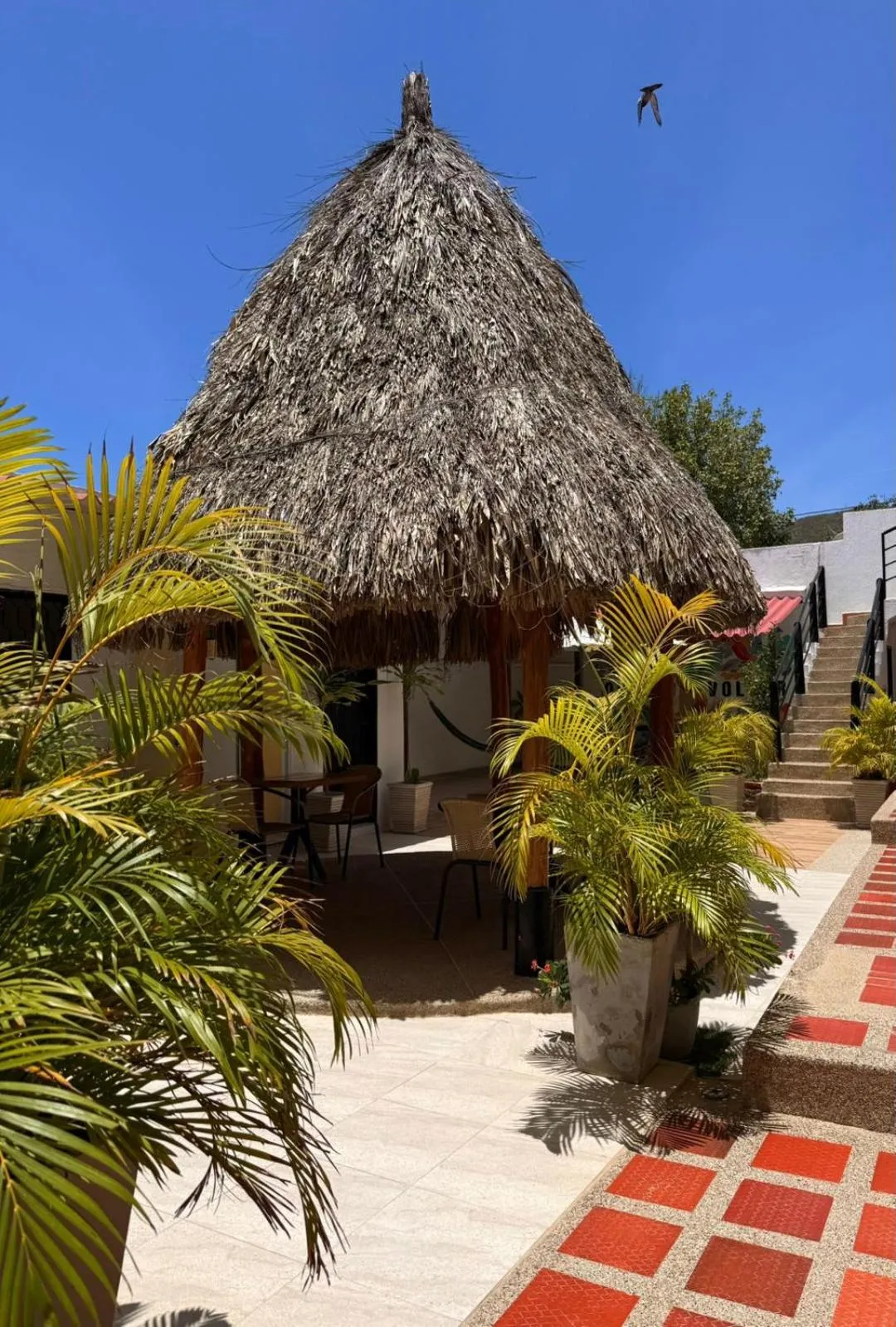 Day in Hotel Ocean Taganga Internacional
