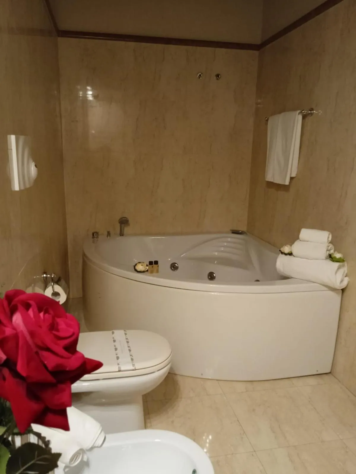 Toilet in Castello Castriota Scanderbeg